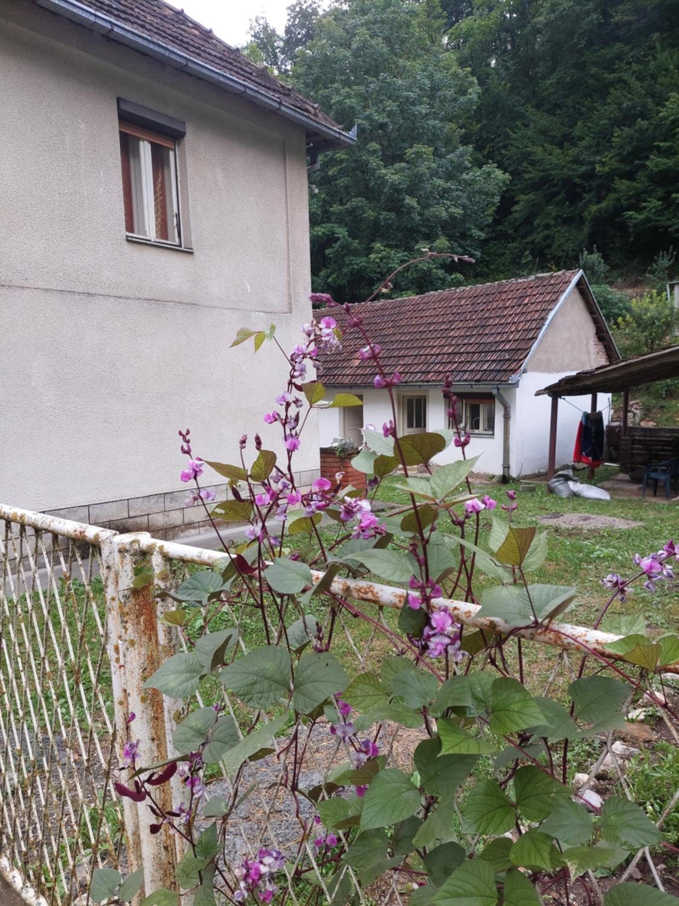 Apartman Rajac