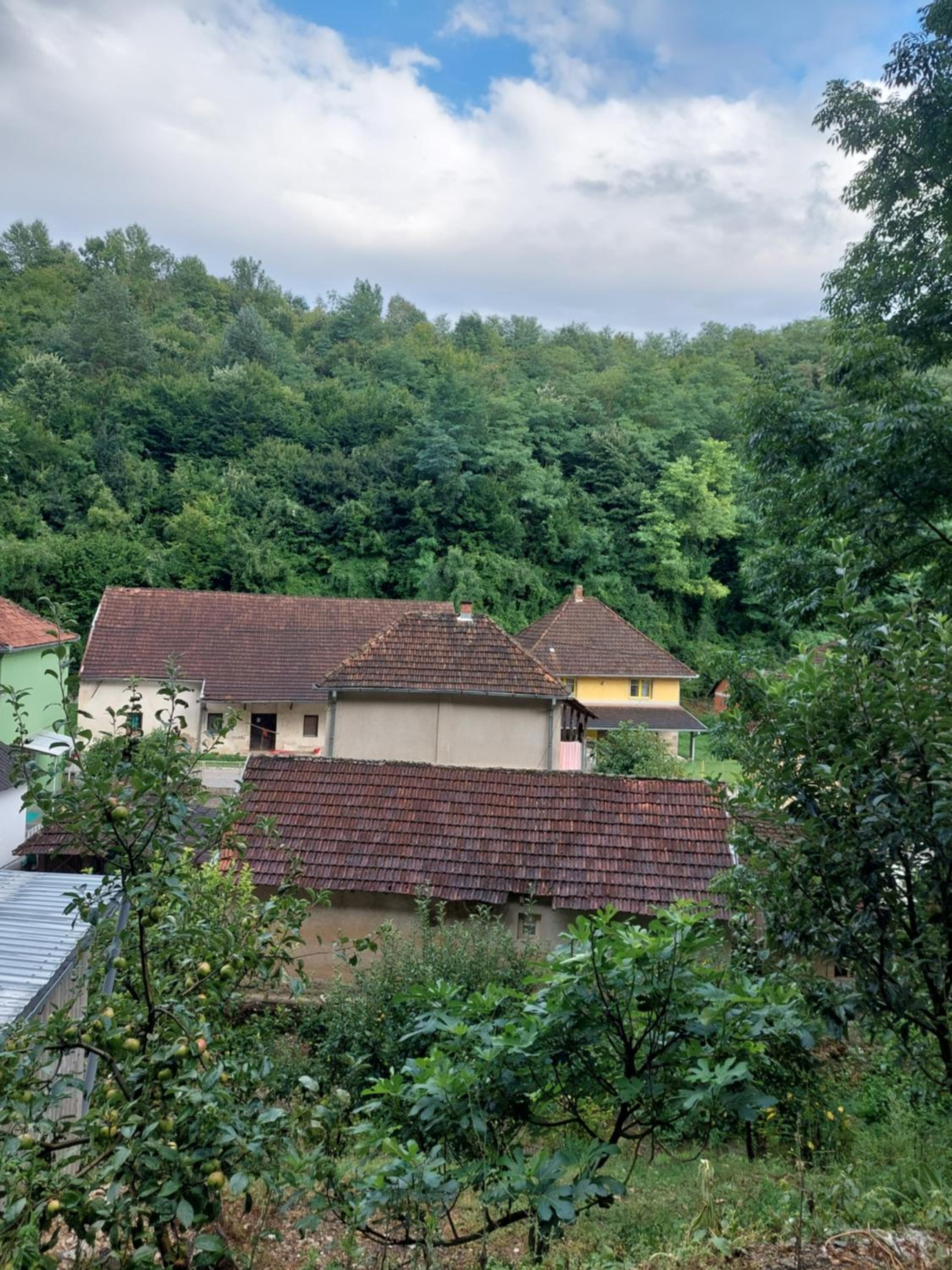 Apartman Rajac