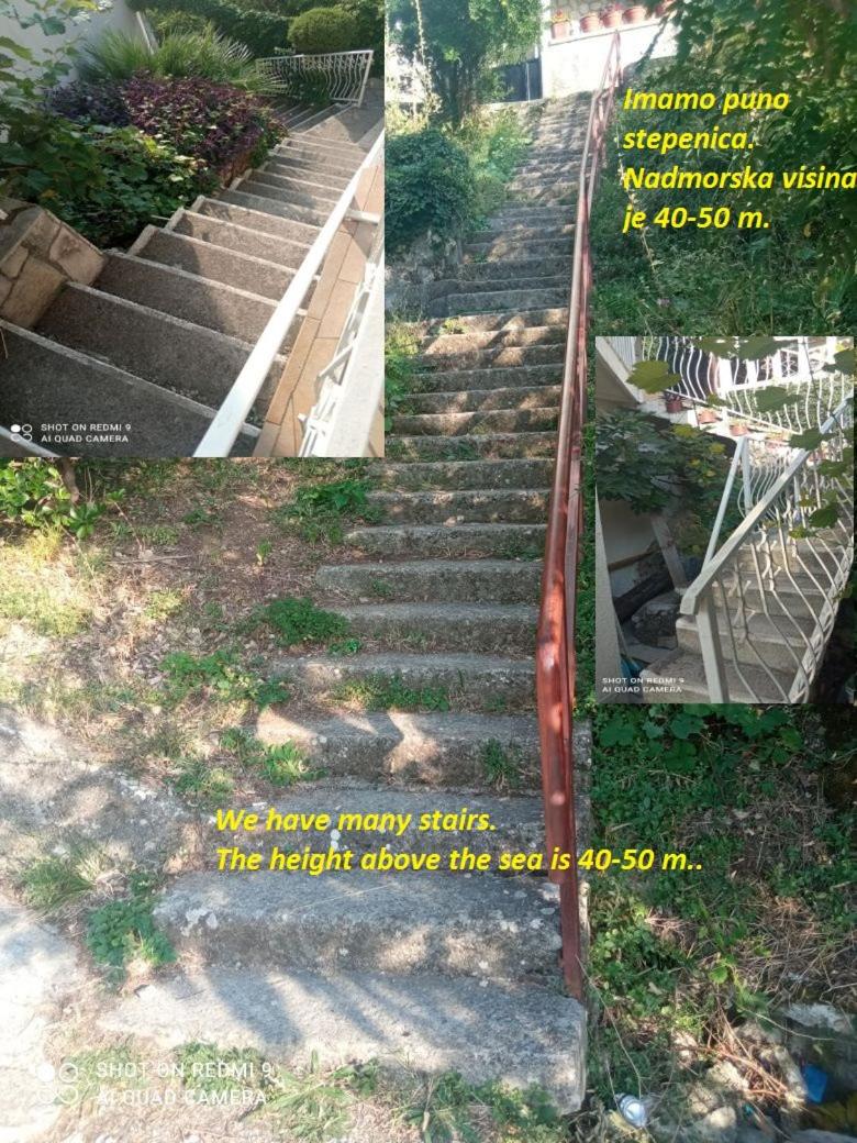 OLGA apartmani