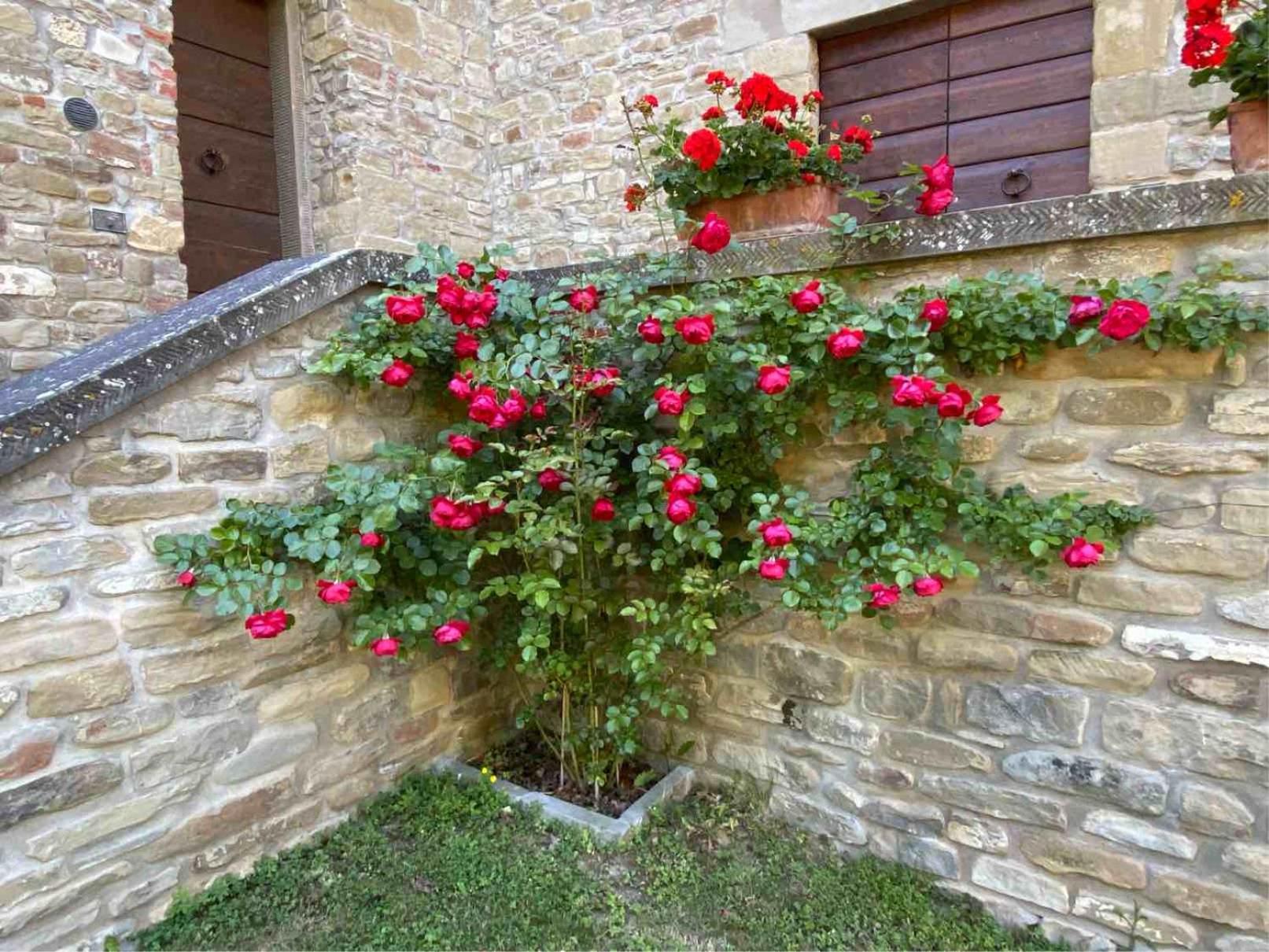 Agriturismo Popolano Di Sotto