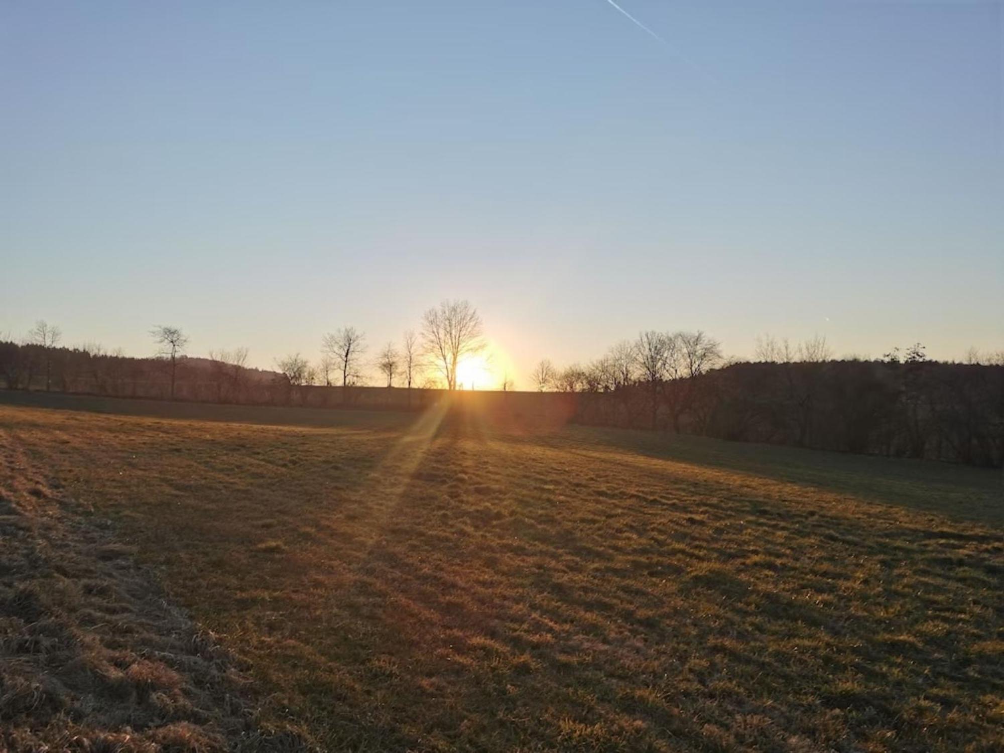 Gohrischblick