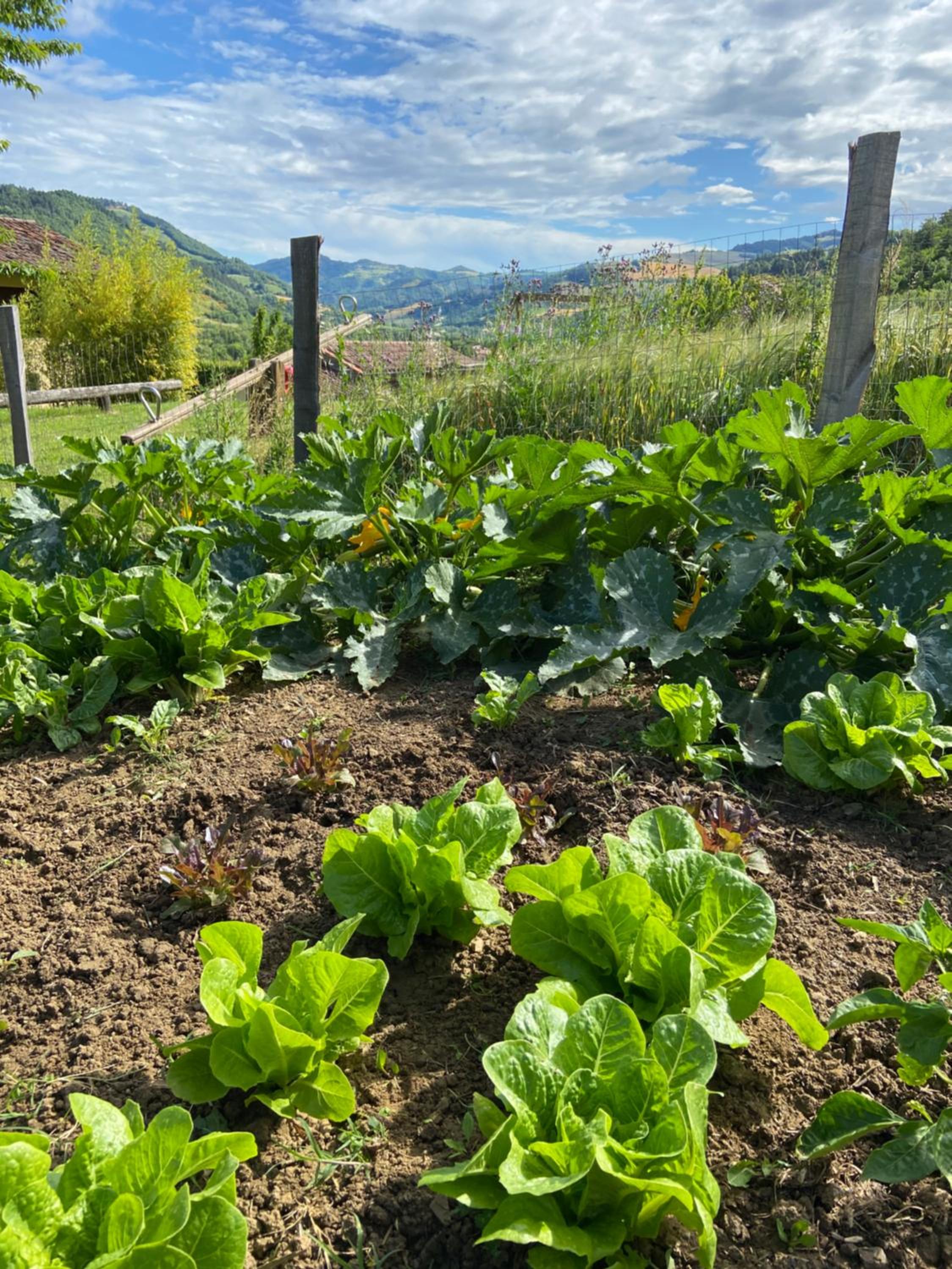 Agriturismo Popolano Di Sotto