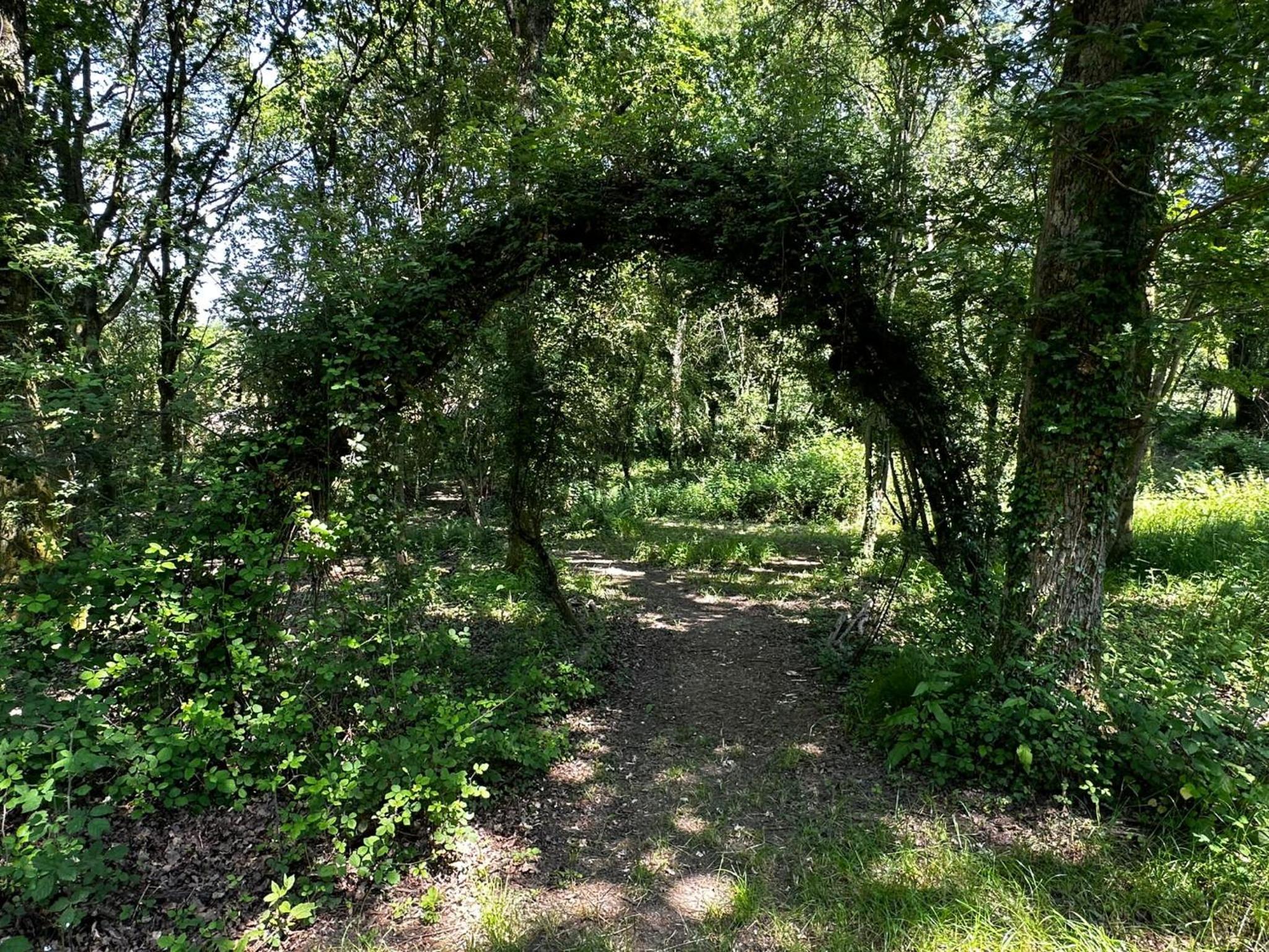 Photo 25