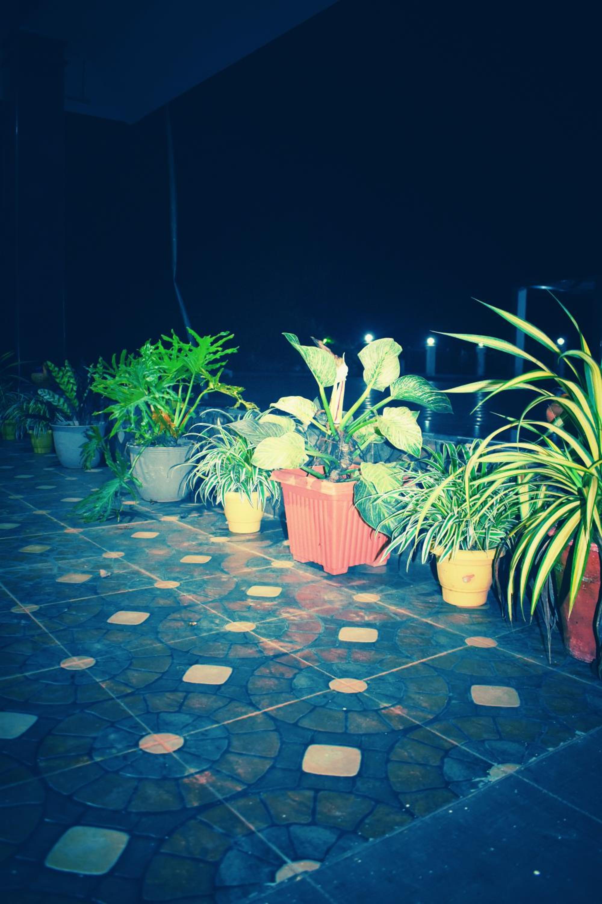 Photo 48