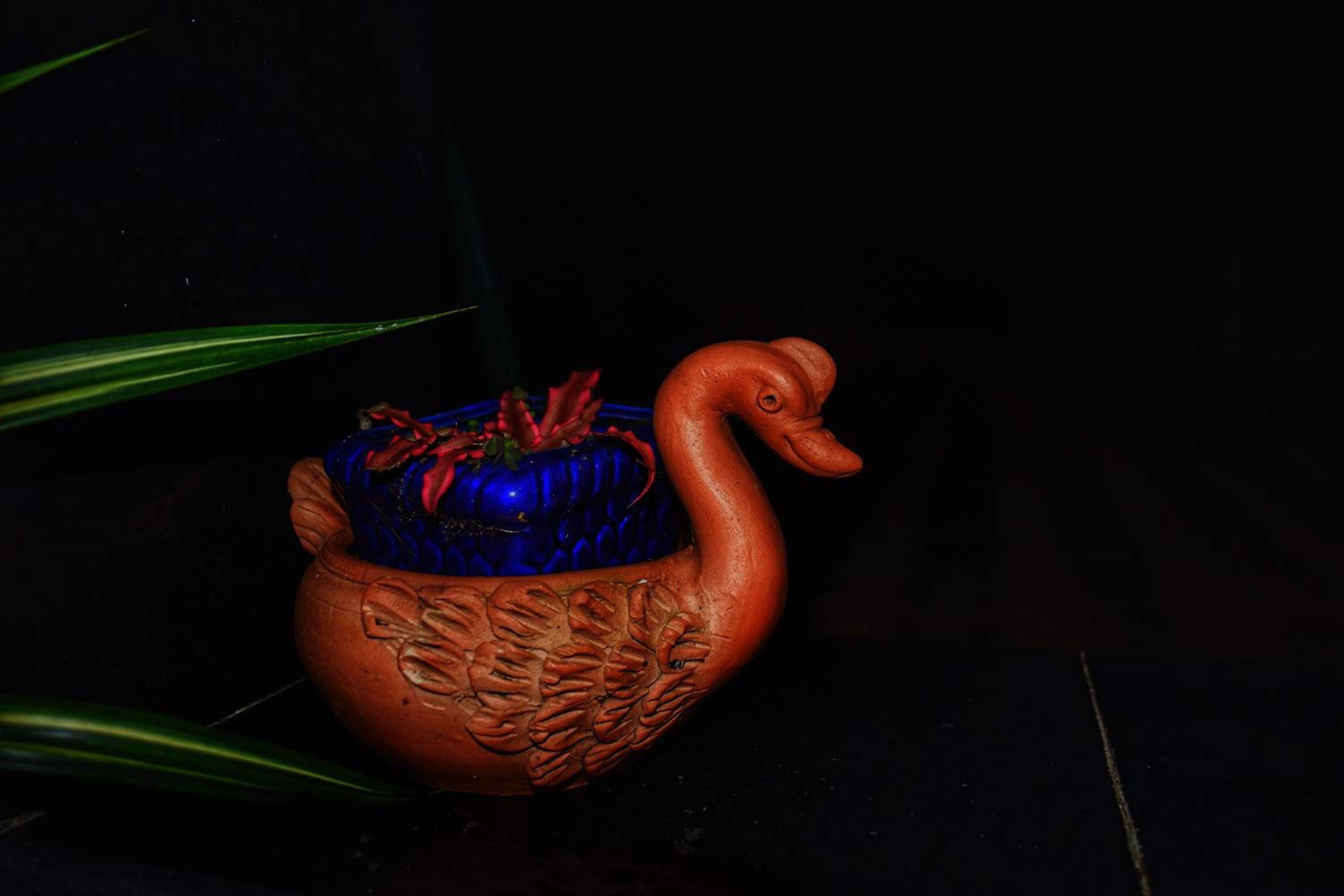 Photo 47