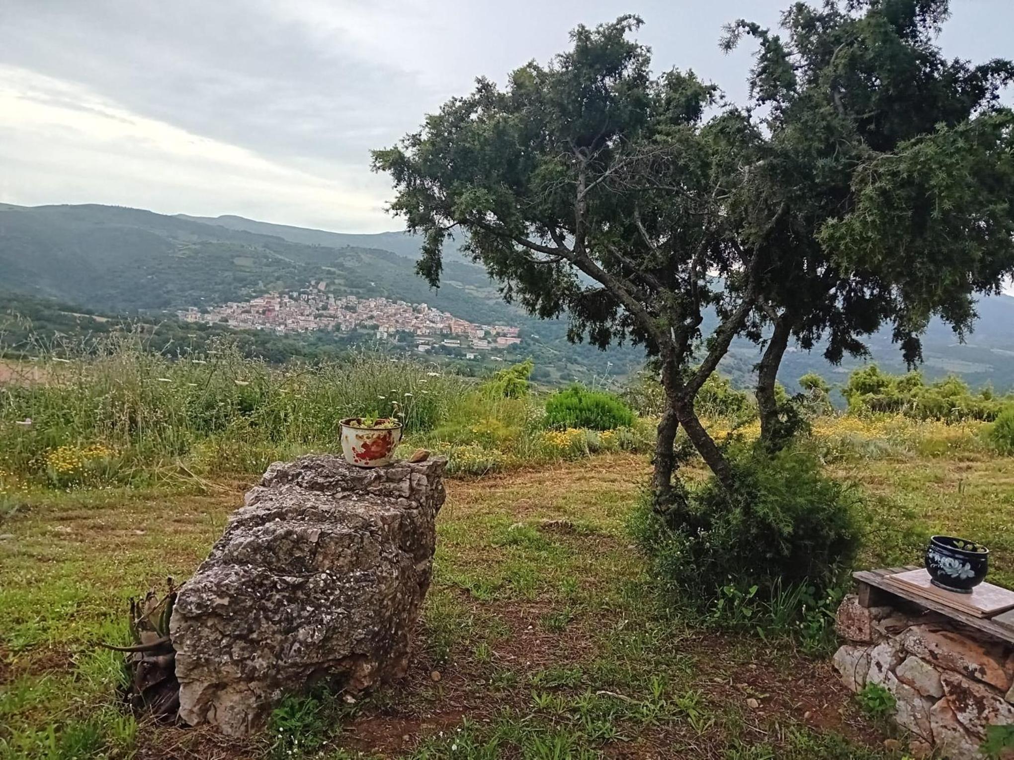 Lugori
