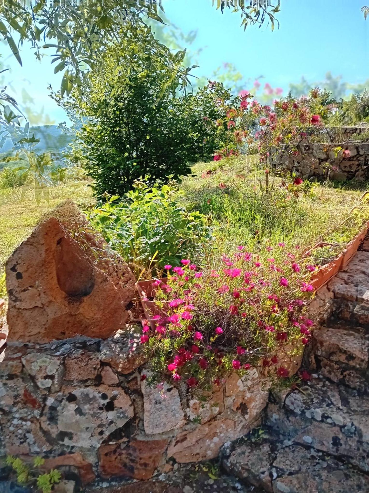 Lugori