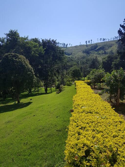 Recanto dos Beija flores, Chalé Lantana c