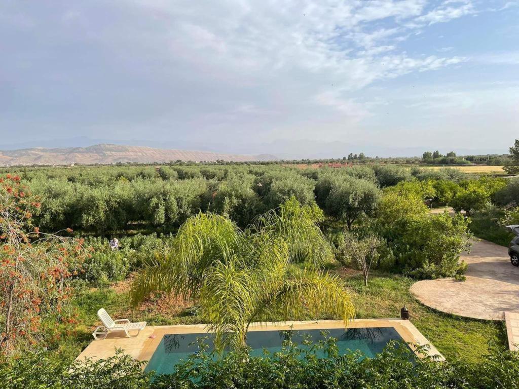 Motia's farm view 2