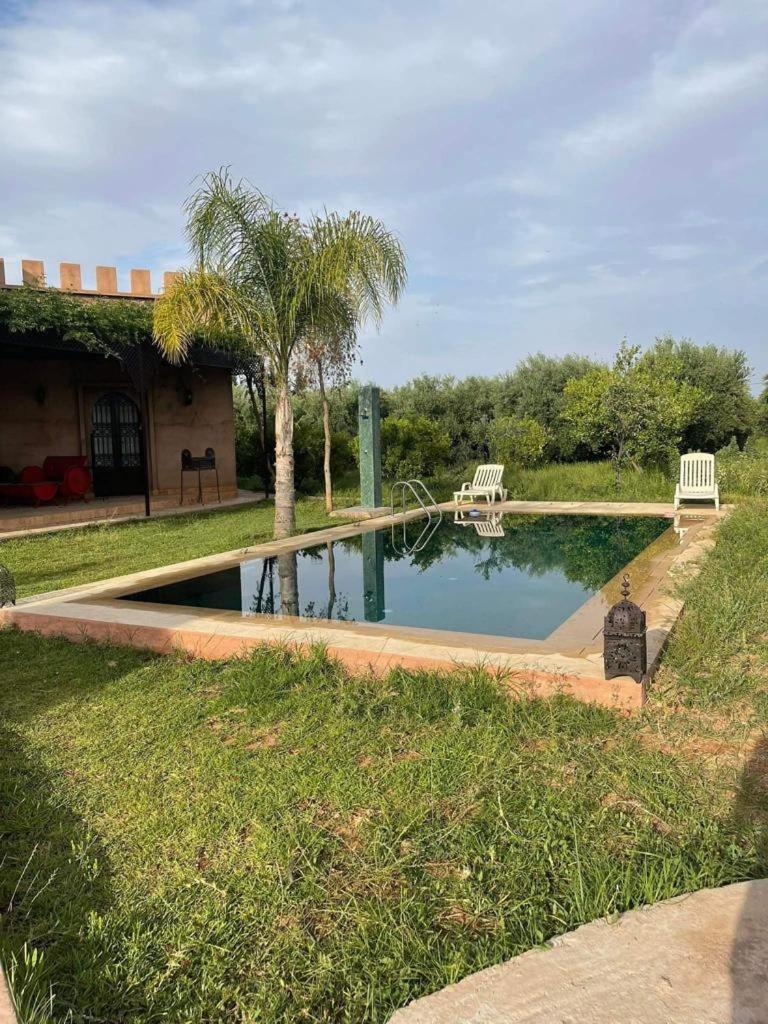Motia's farm view 4