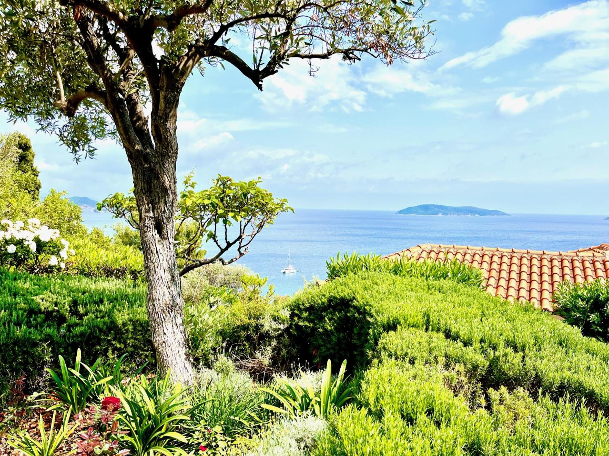 Villa Athena Skiathos view 4
