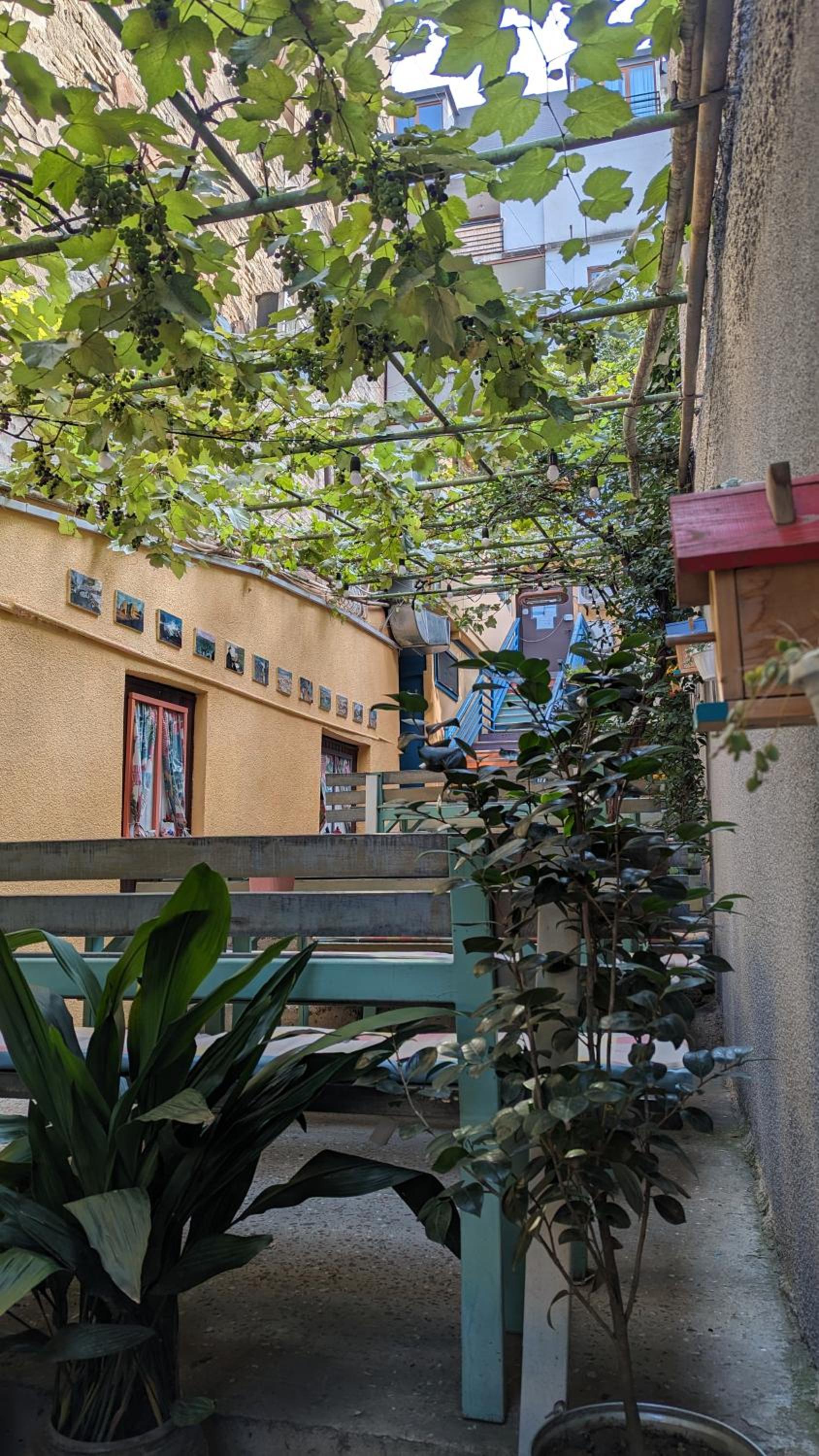 Guesthouse Kartli