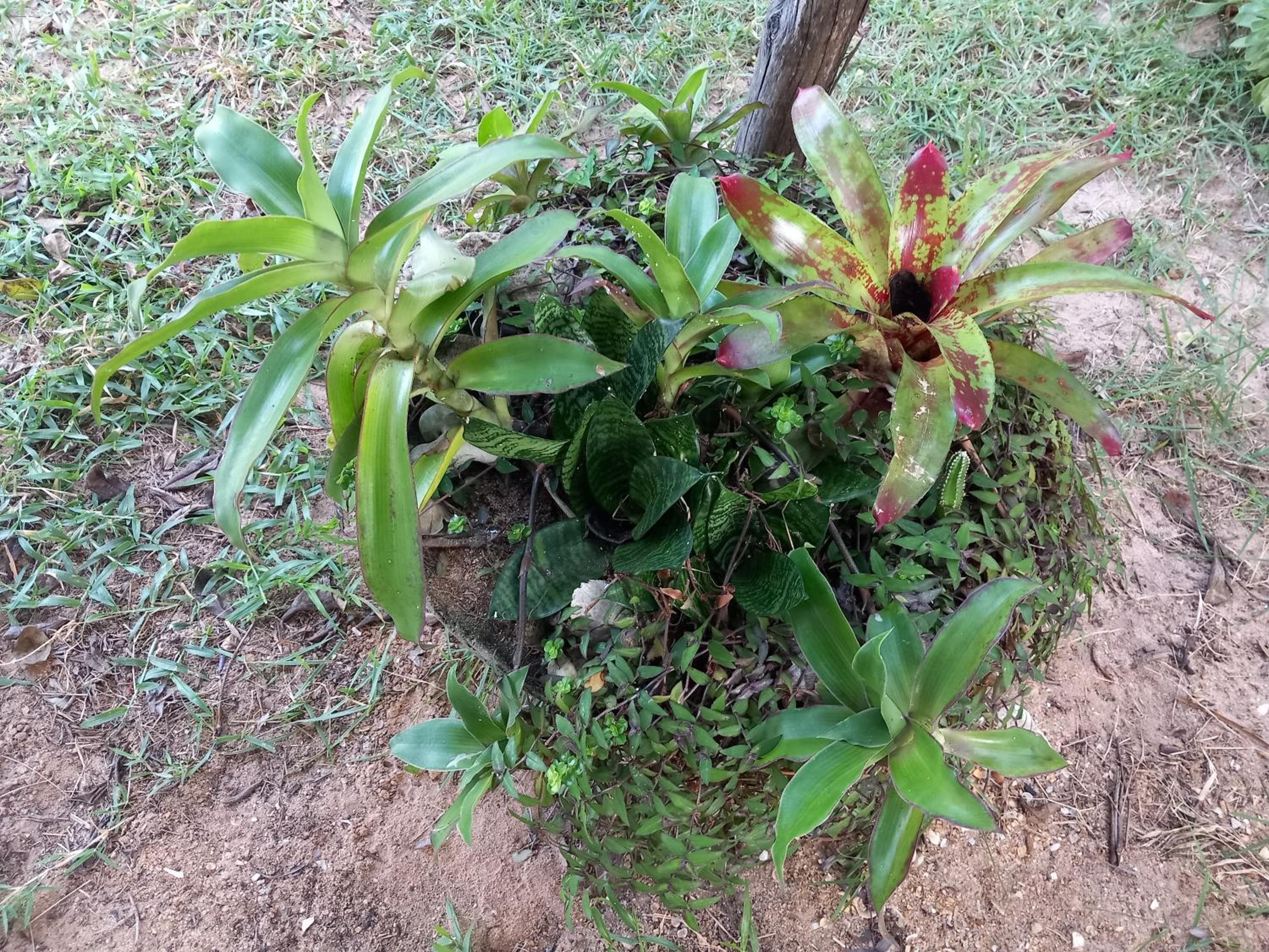 B&B Pedra do Meio