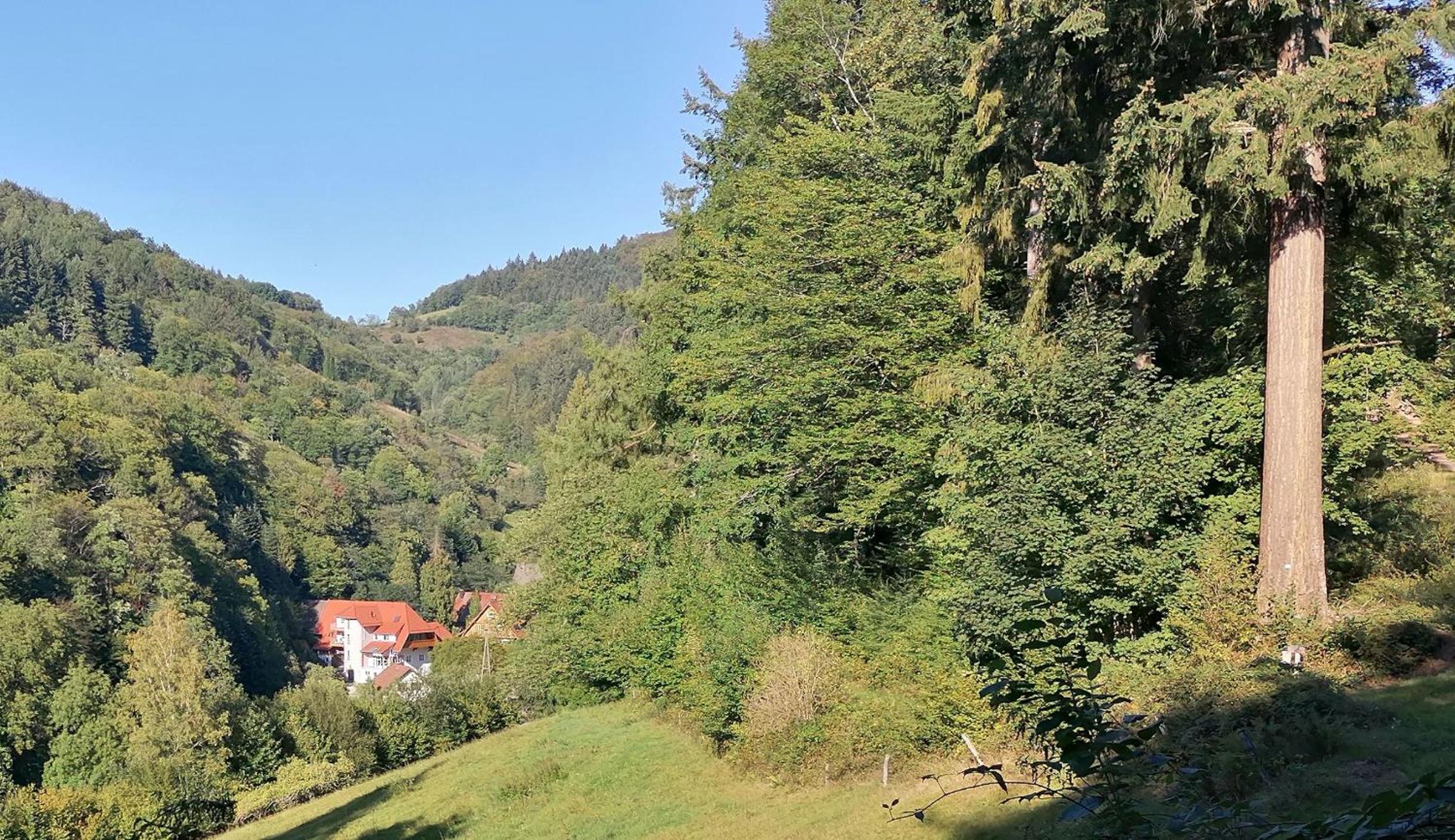 Huberhof Pfaffenbach view 3