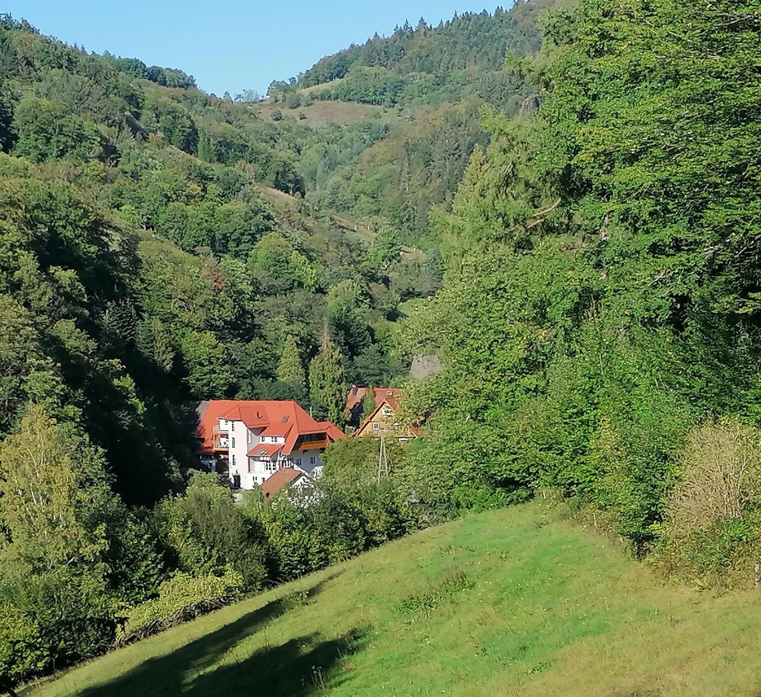 Huberhof Pfaffenbach view 2