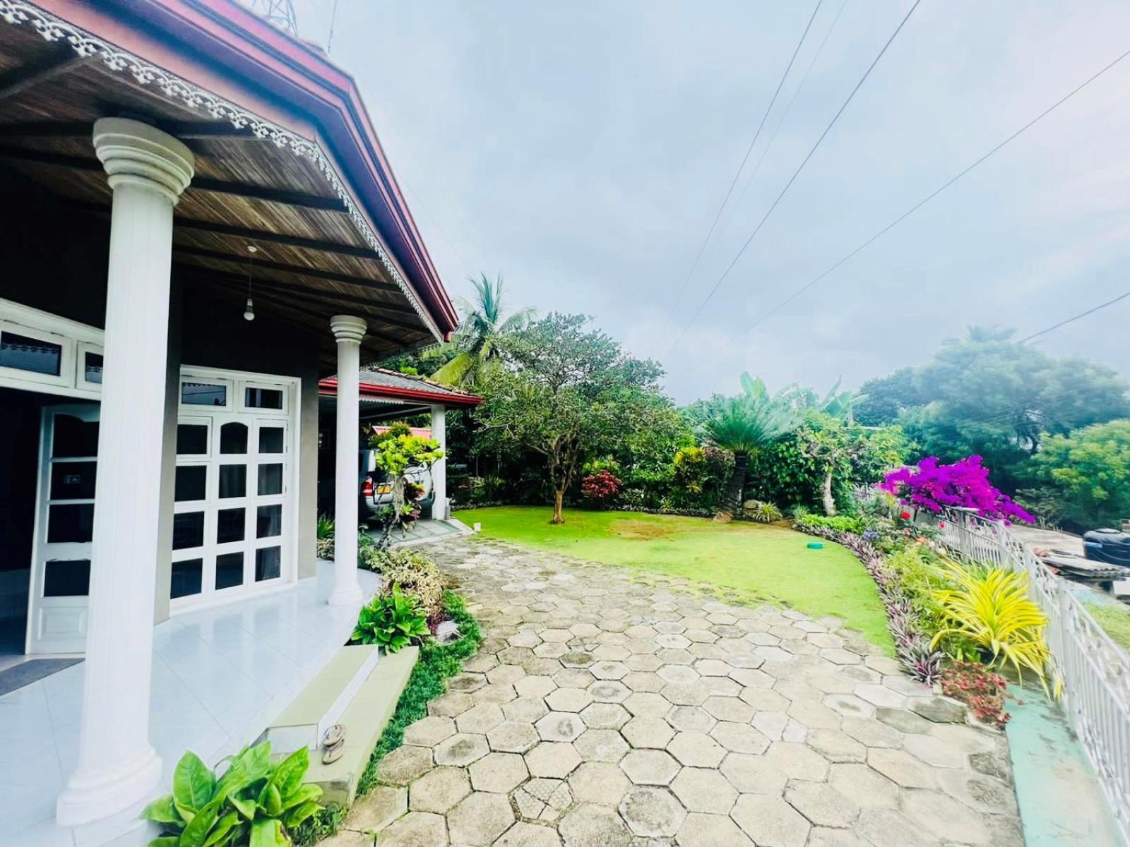 Rockview Gardens Homestay view 5