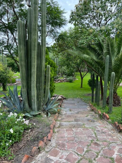 Home in San Miguel de Allende. Casita de La Aldea view 2