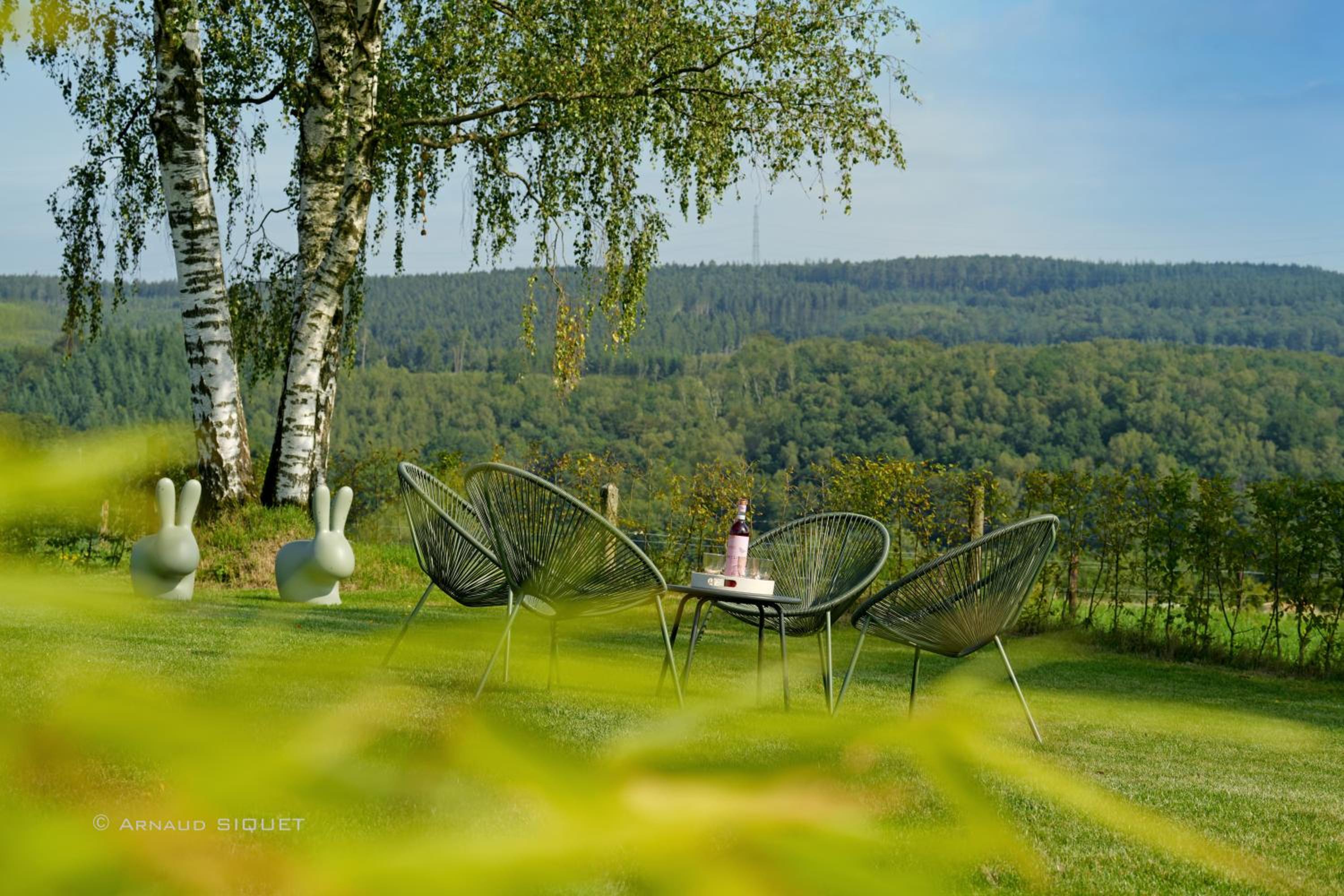 Gîte Altitude 399 à Trois-Ponts avec sauna et jacuzzi