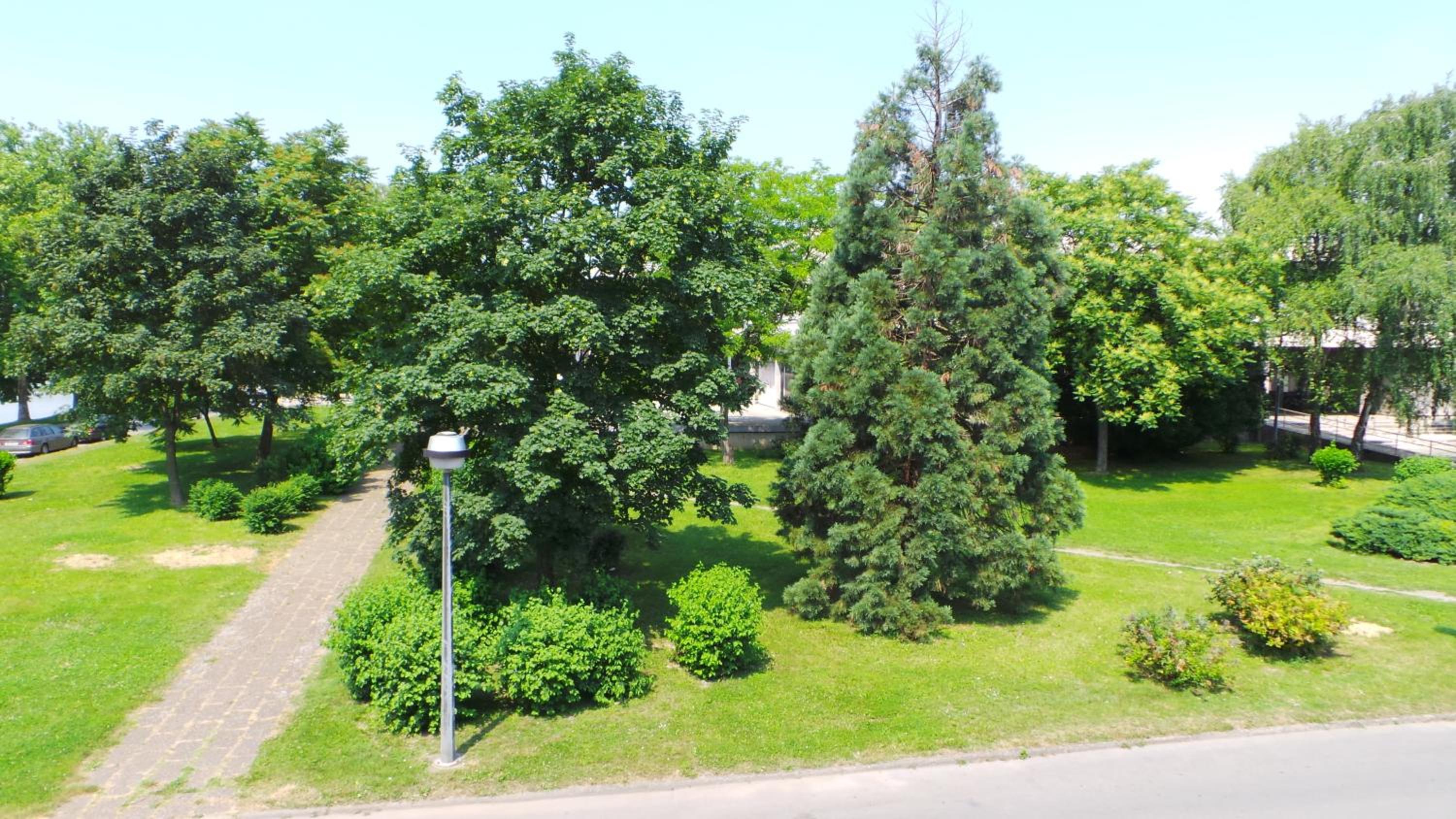 Hostel Levicki