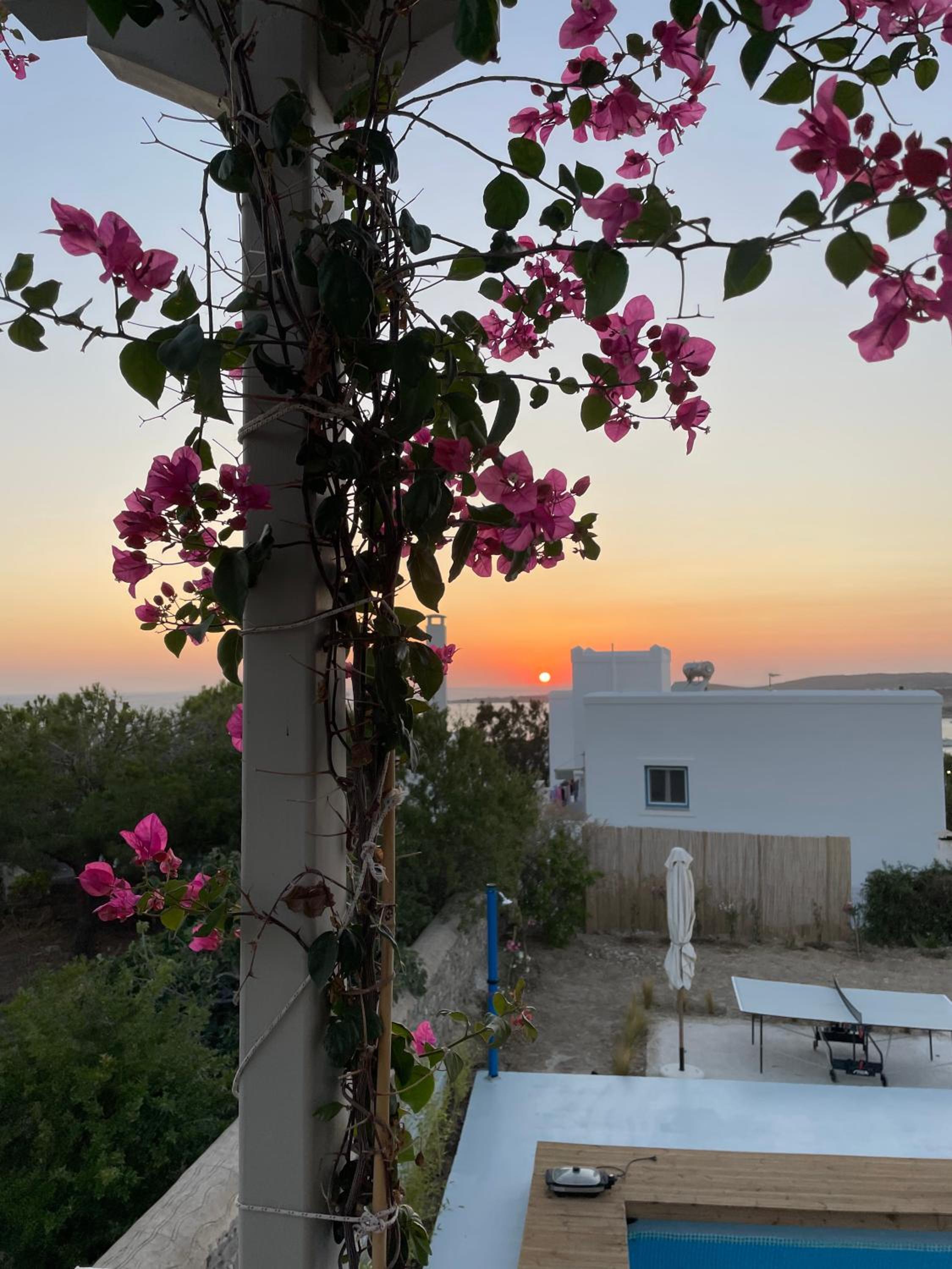 Minimal Blue Apartment with Sunset View in Paros view 5