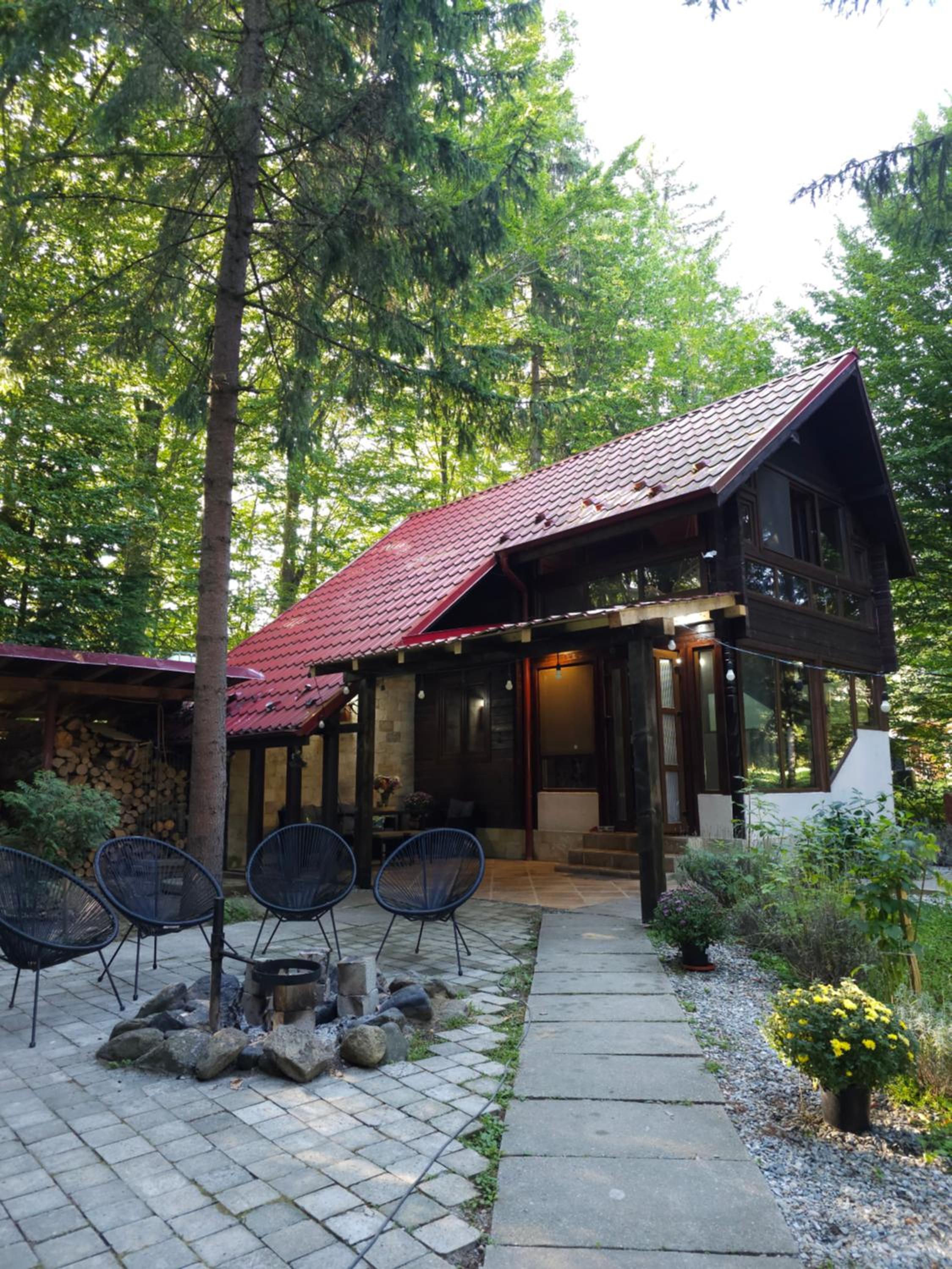 Misha's House