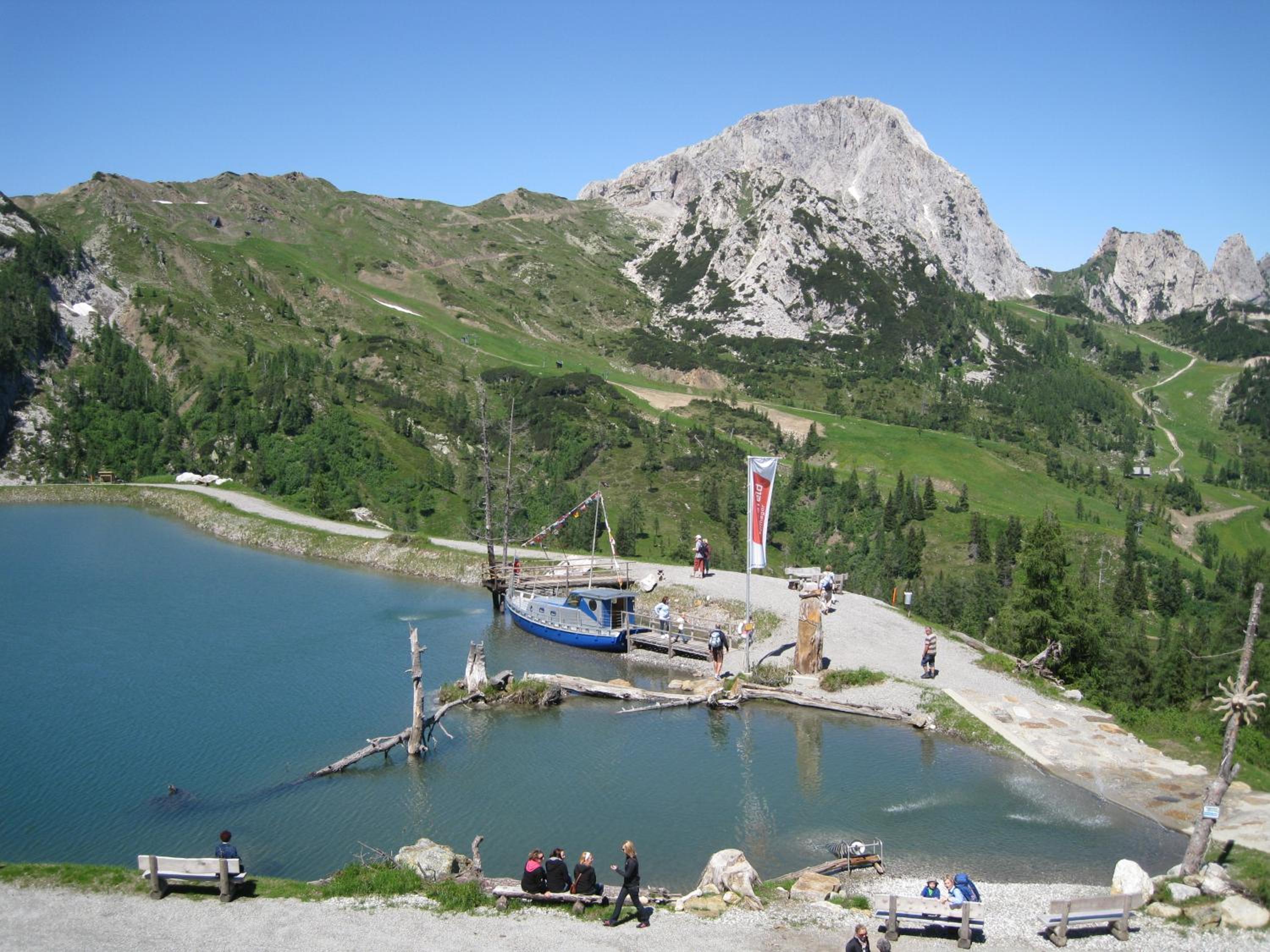 Photo 44
