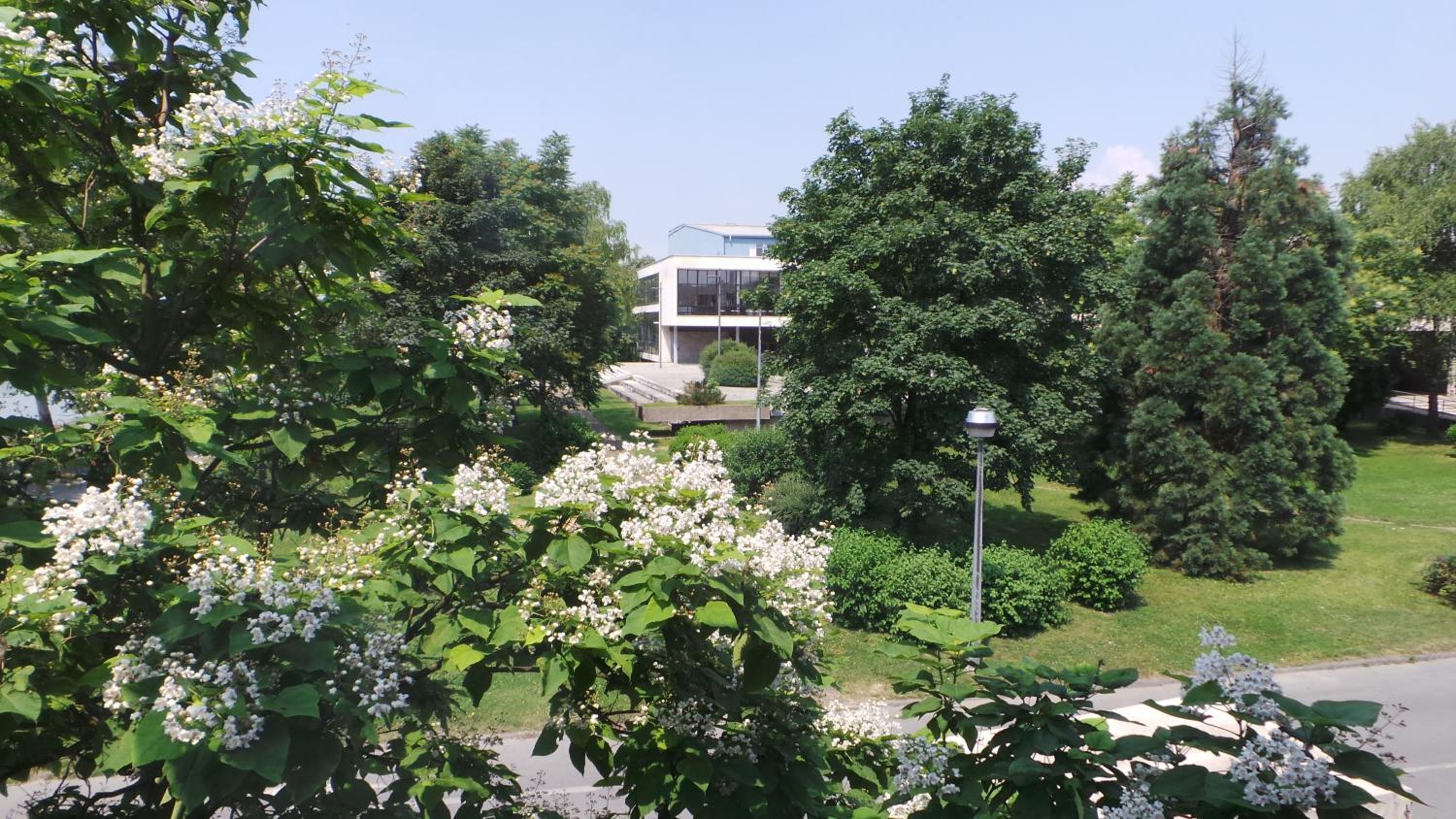 Hostel Levicki