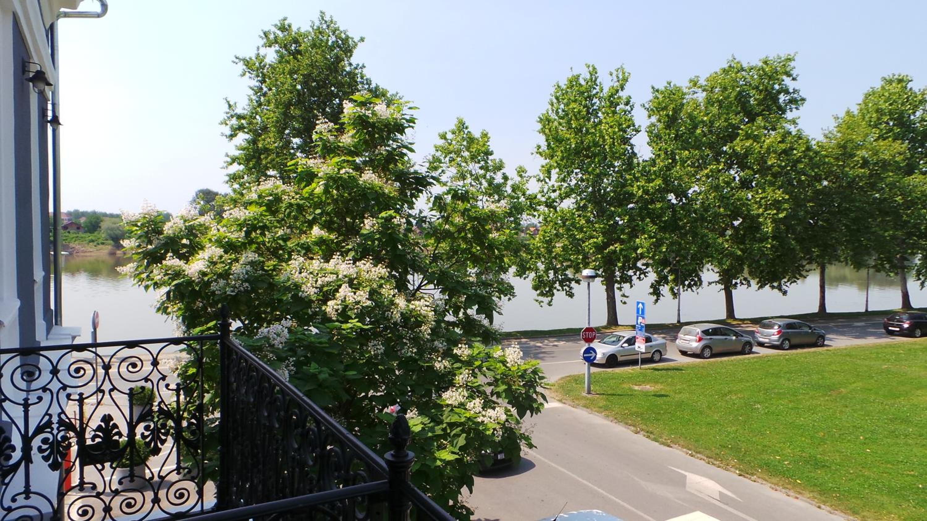 Hostel Levicki