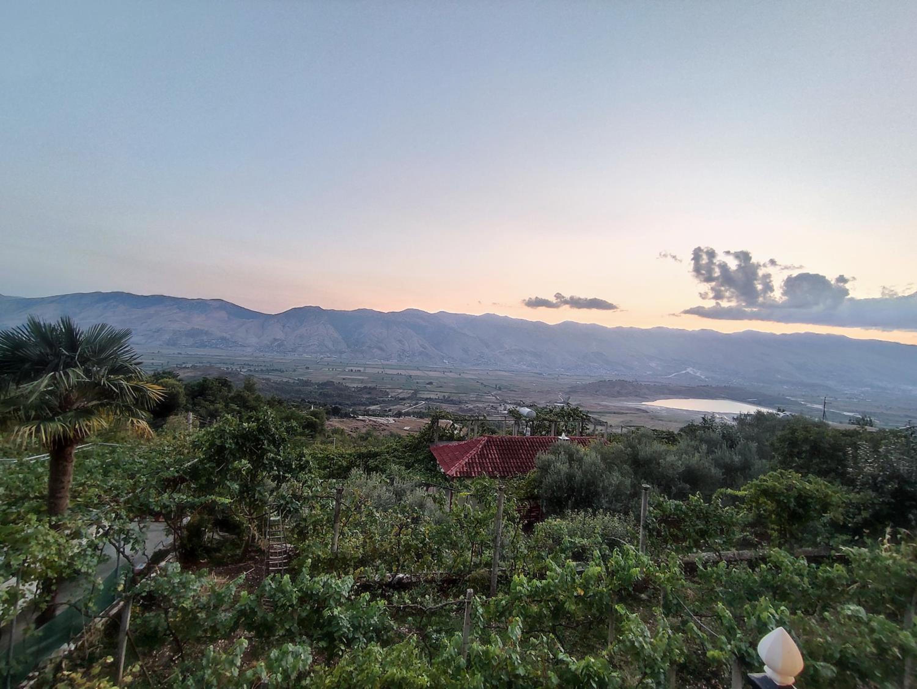 Tusuni Guest House