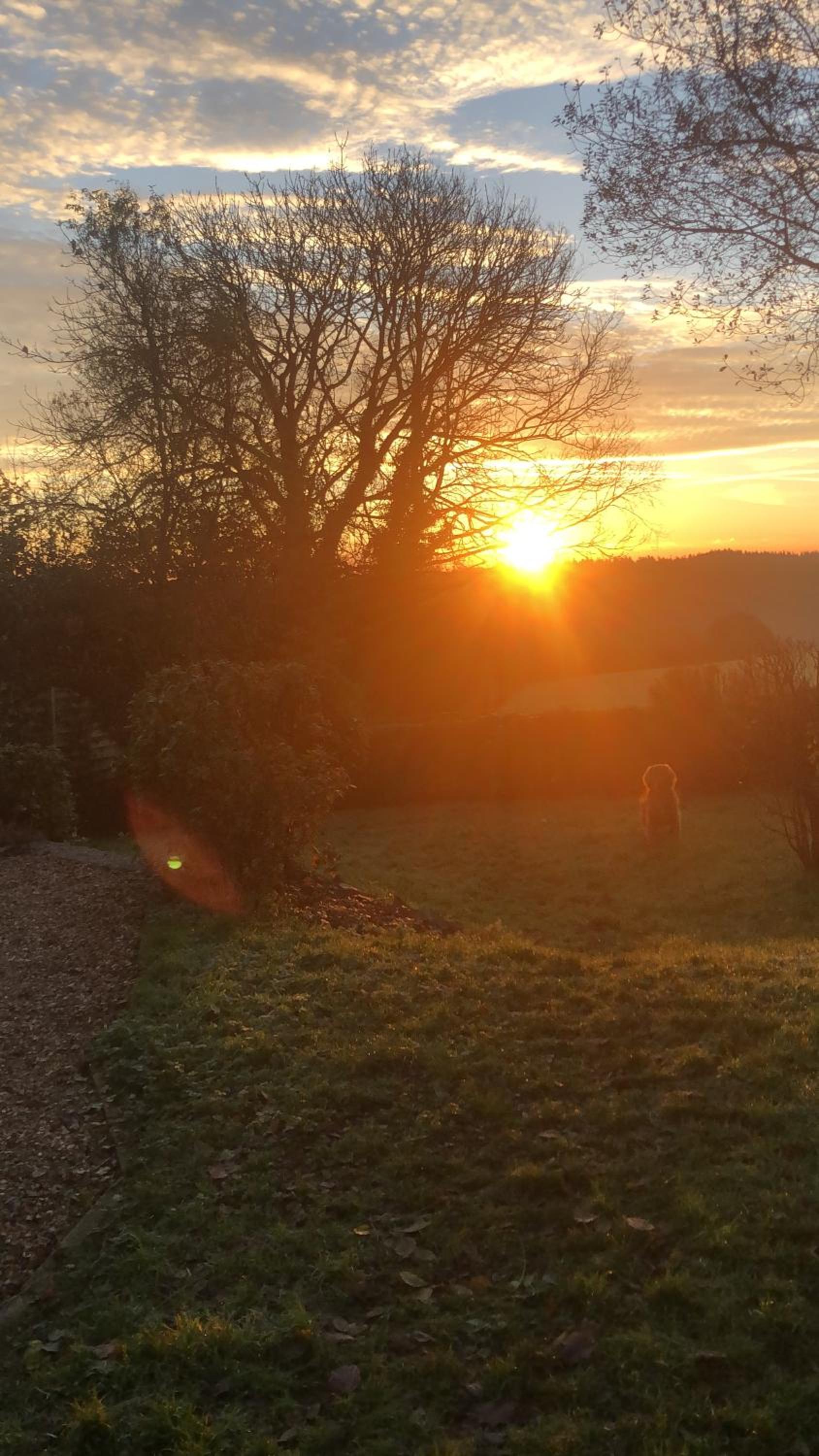 Meadowside Cottage, Characterful Grade 2 Listed Cottage near to Wadebridge and Padstow view 5