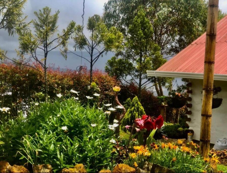 Casasoleeluna, Aire puro tranquilidad y naturaleza!