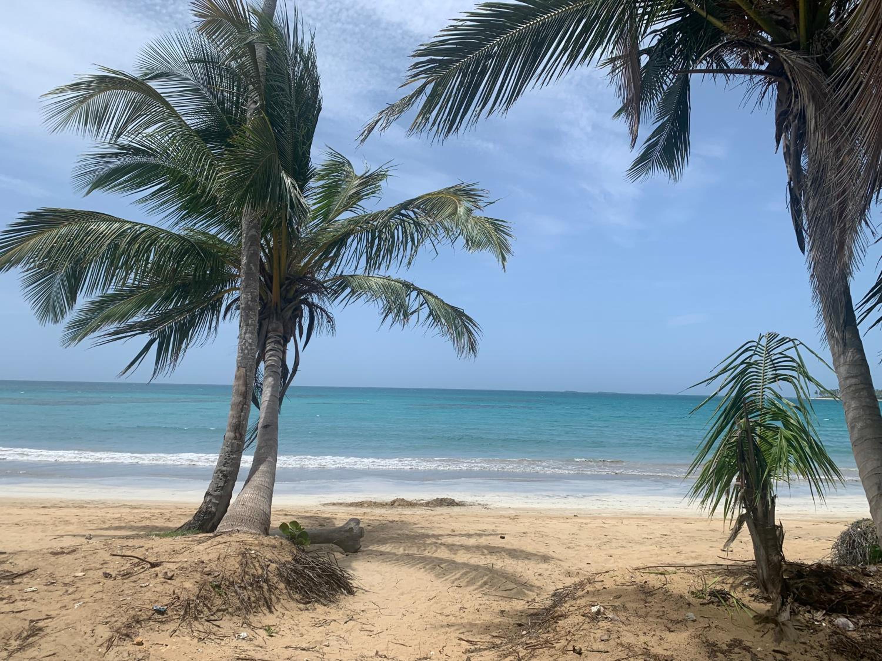 Caribbean Domicile