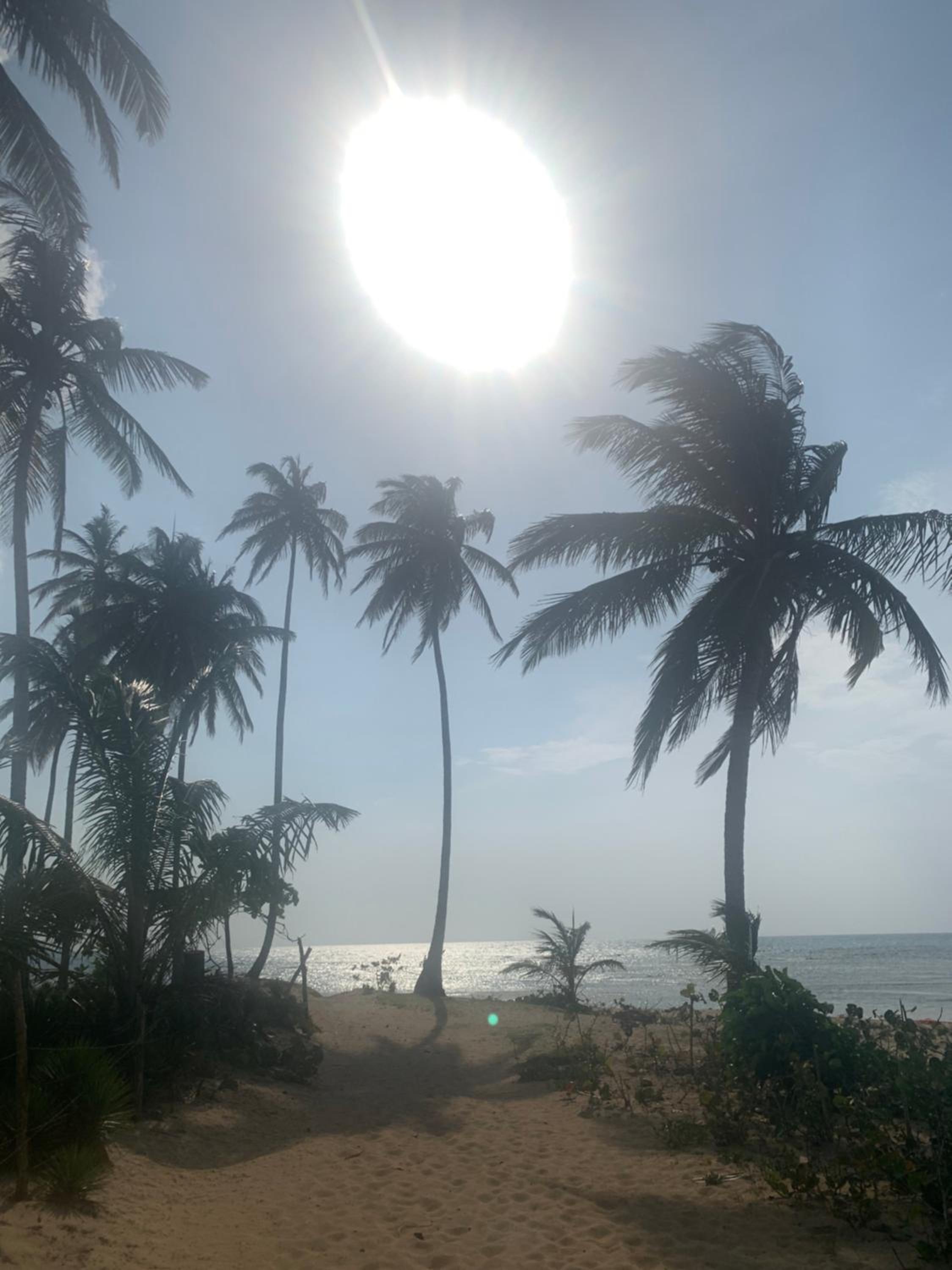Caribbean Domicile