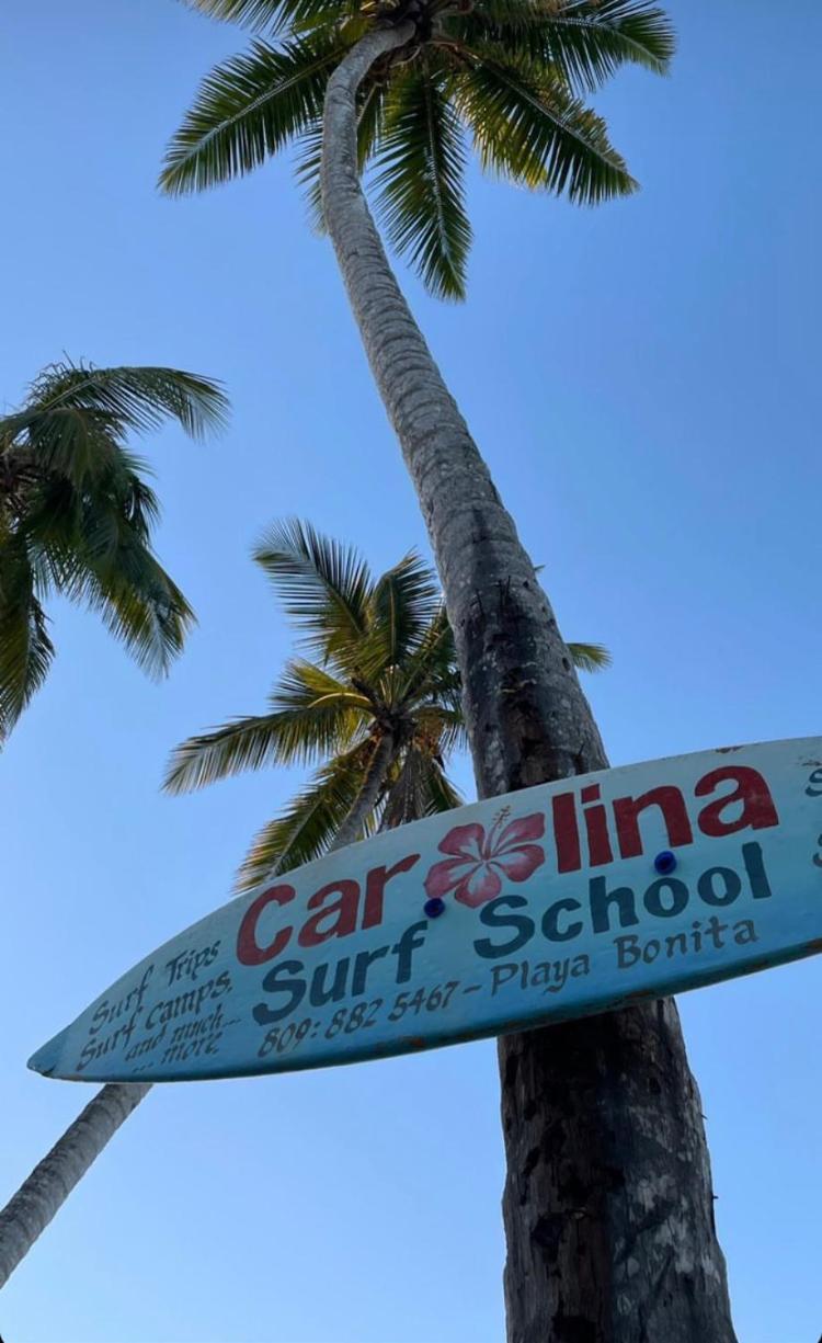 Caribbean Domicile