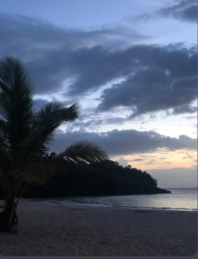 Caribbean Domicile