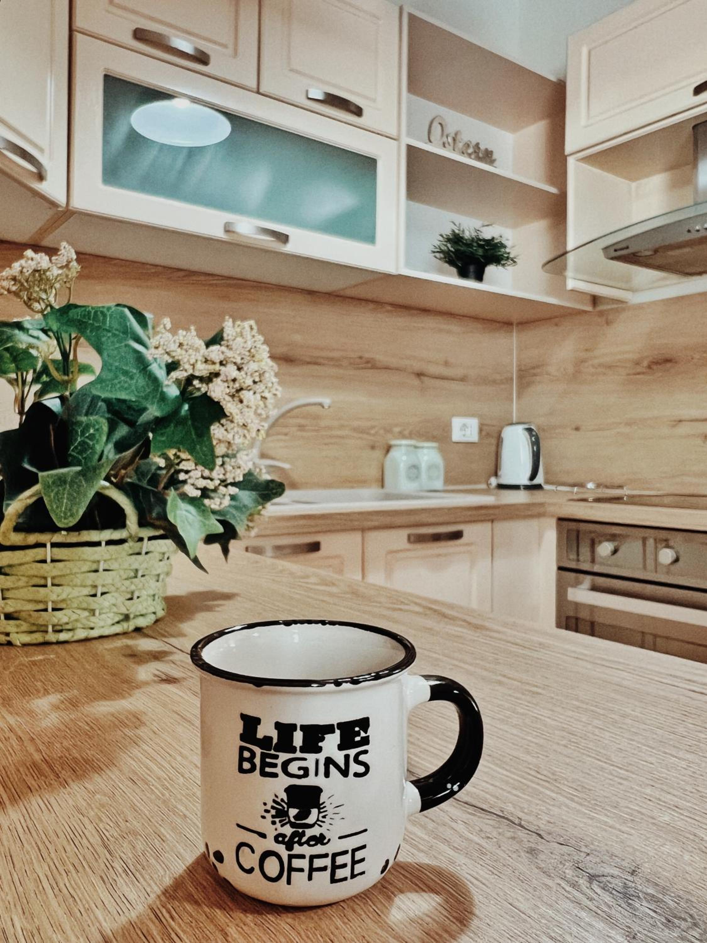 Cozy Rooftop Apartment - Your home, away from home!