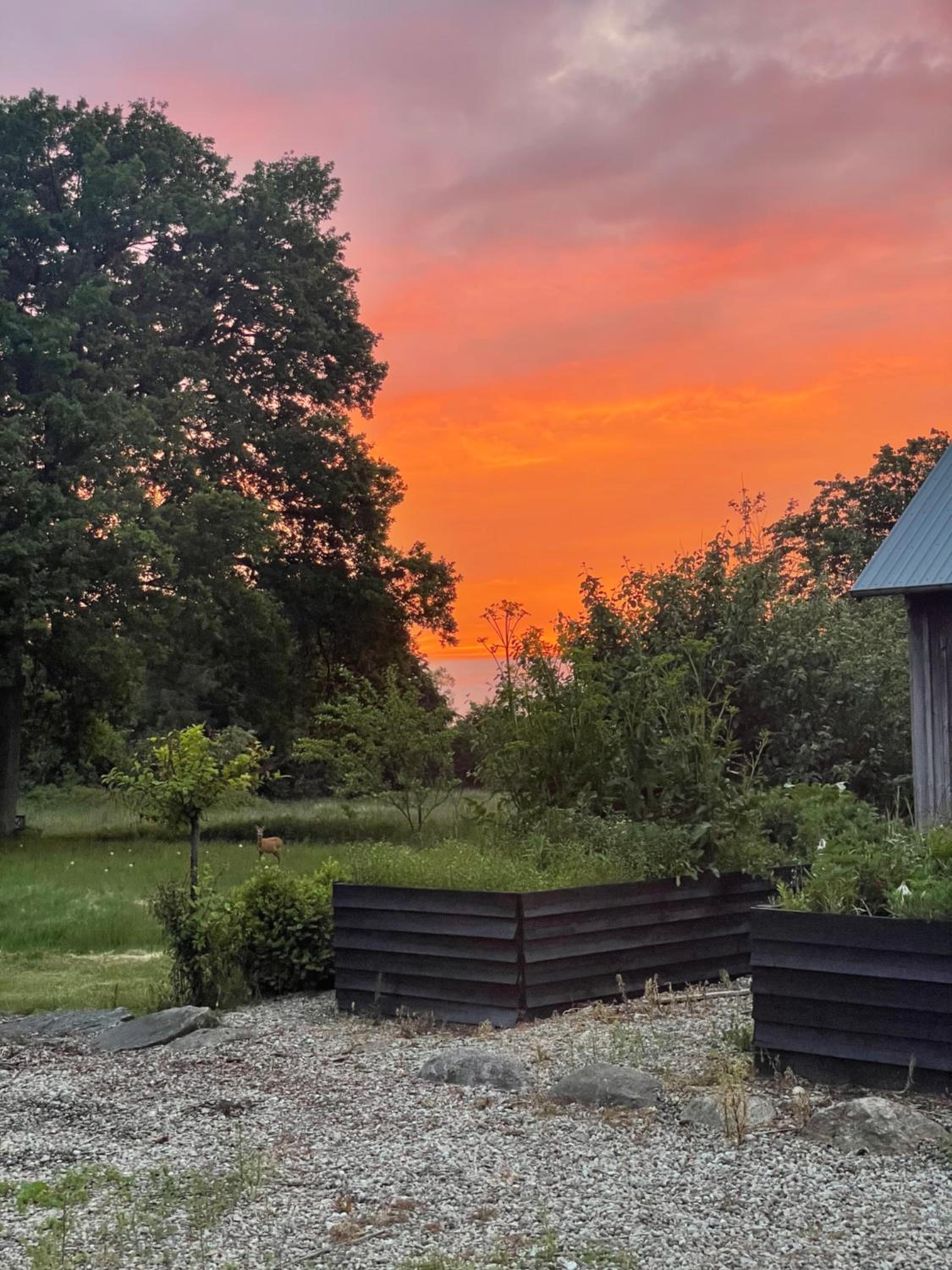 Landligt ophold på Midtgård