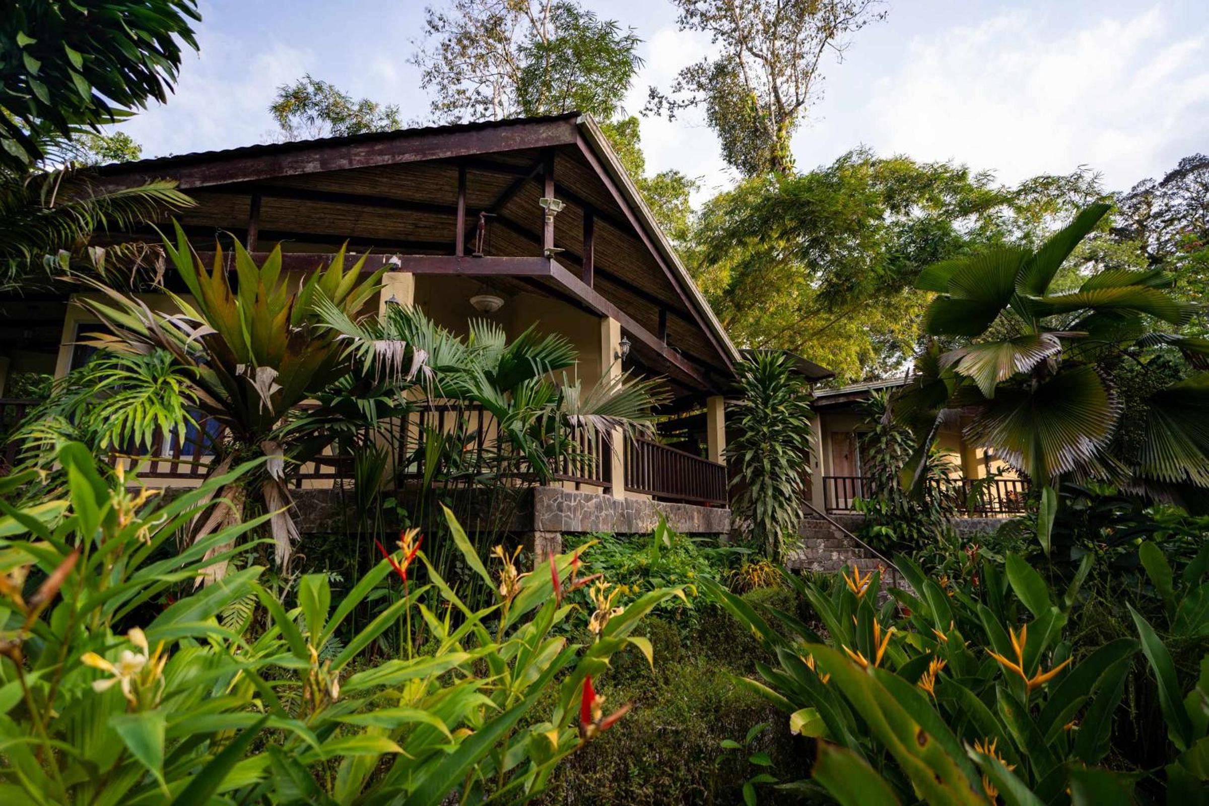 Heliconia Island