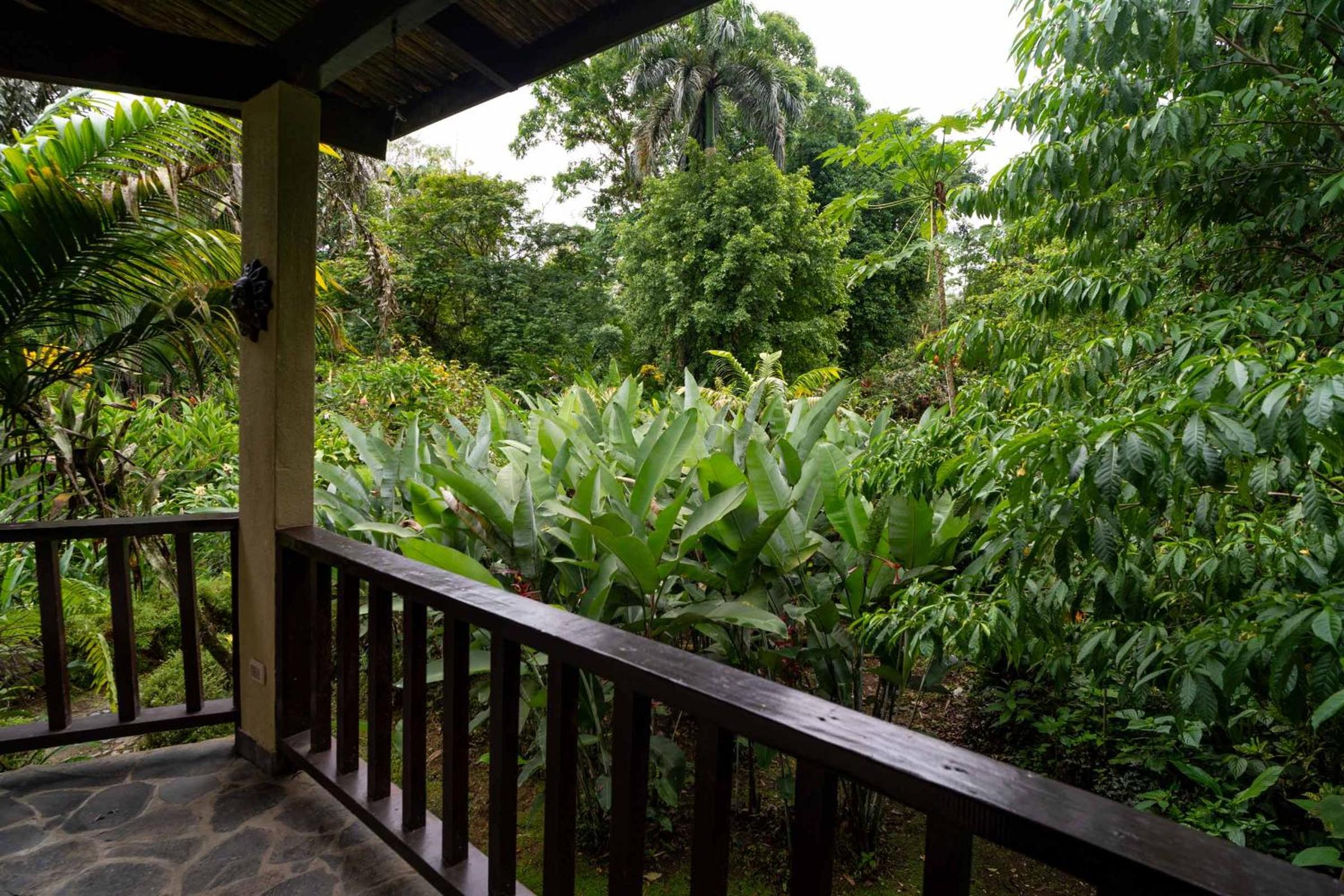 Heliconia Island