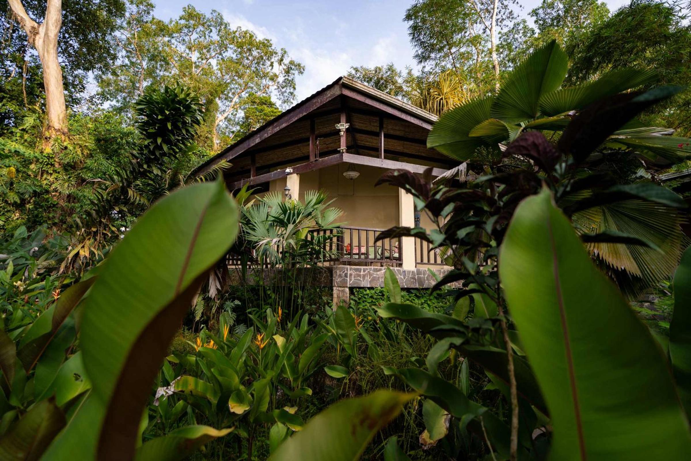 Heliconia Island
