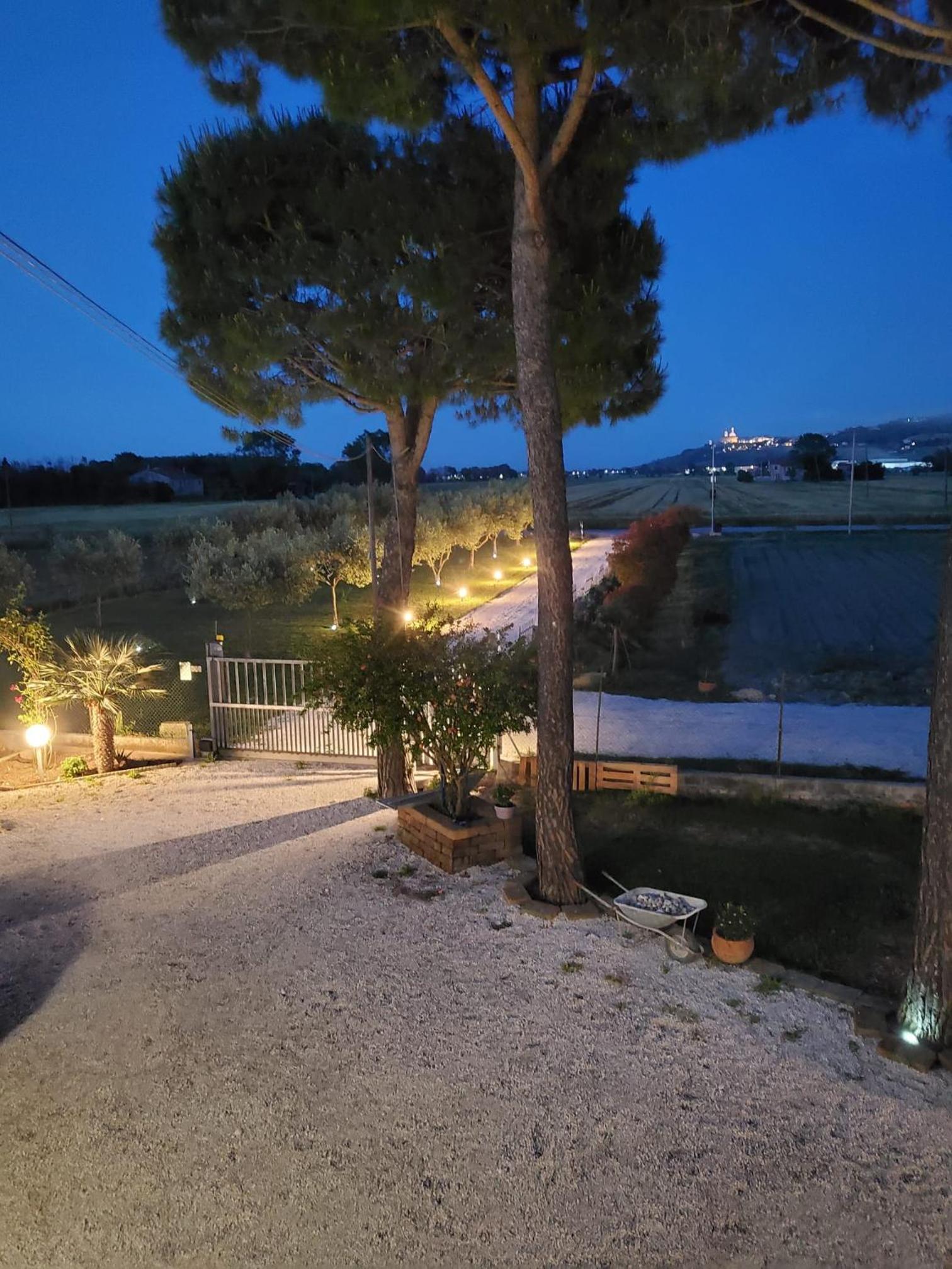 CaSAle