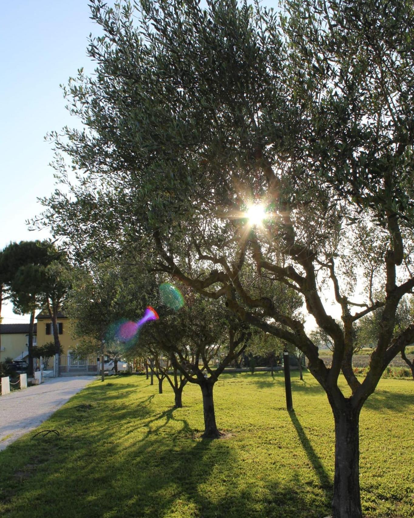 CaSAle
