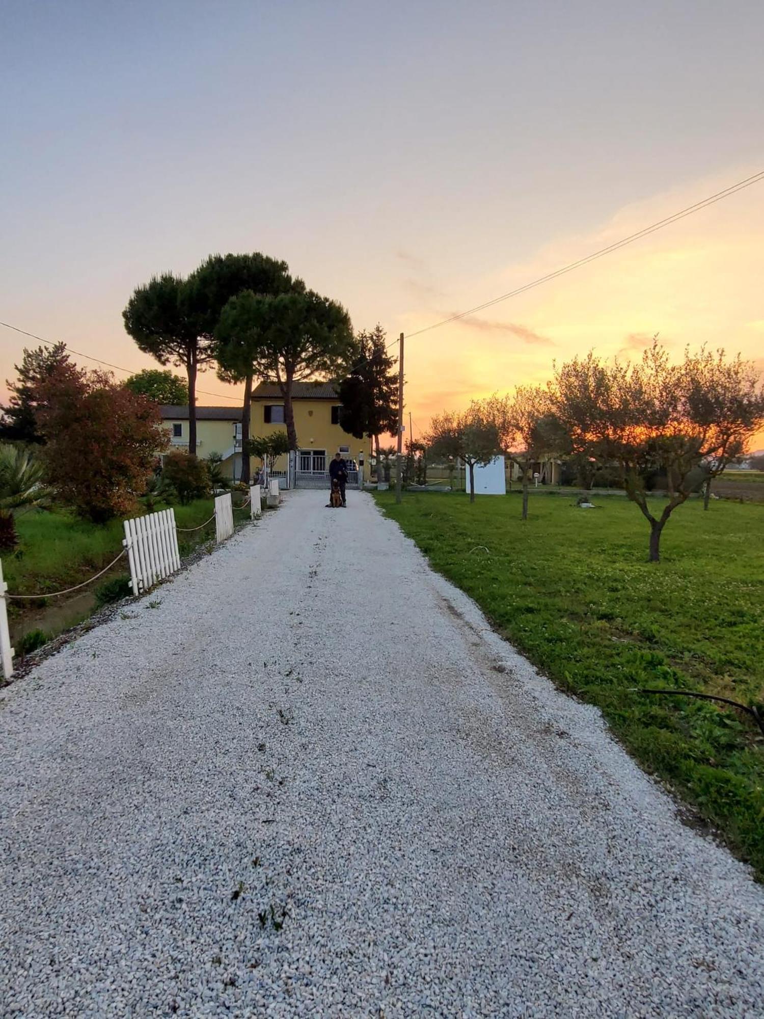 CaSAle