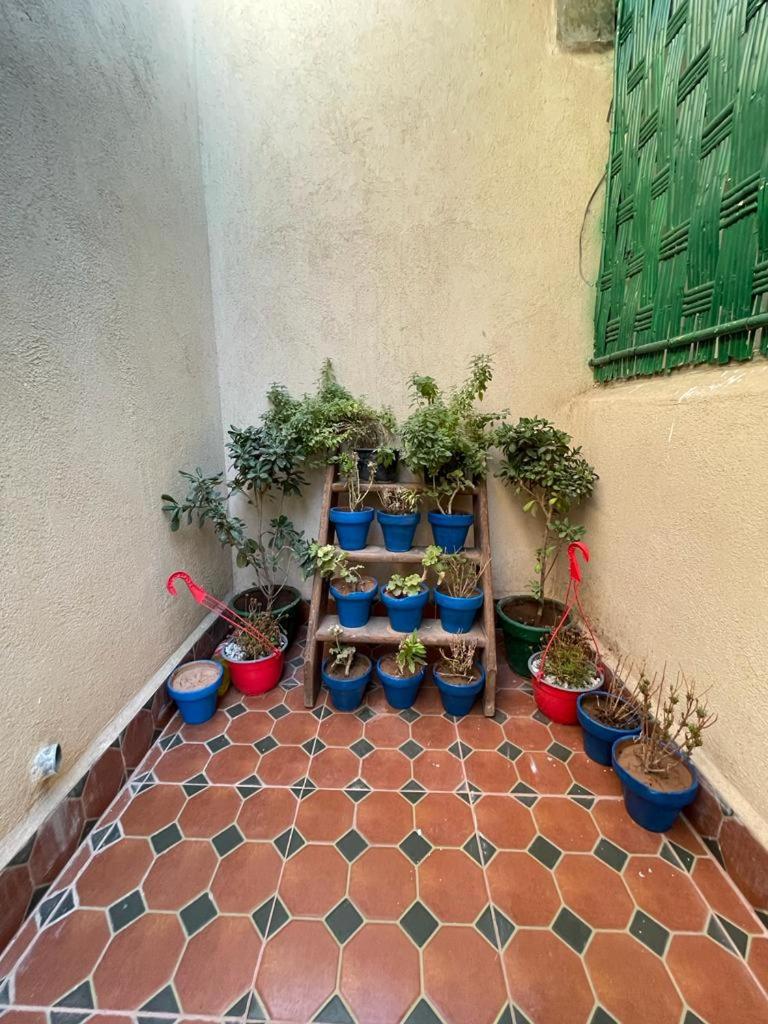 Riad Mama Toutou view 4