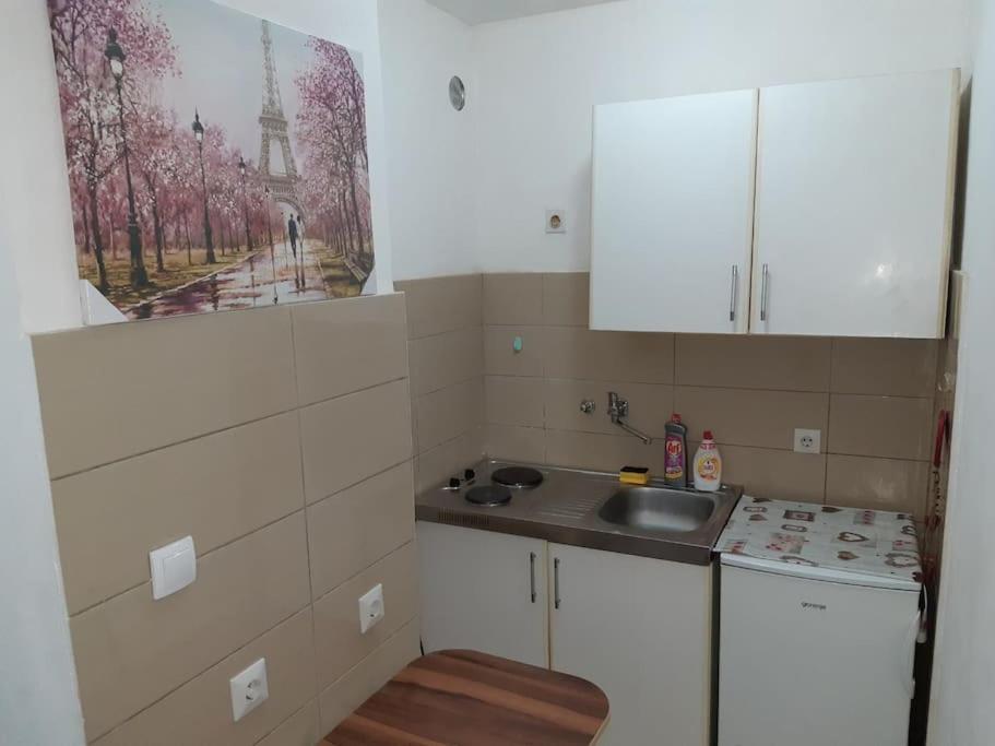 Apartman Paris