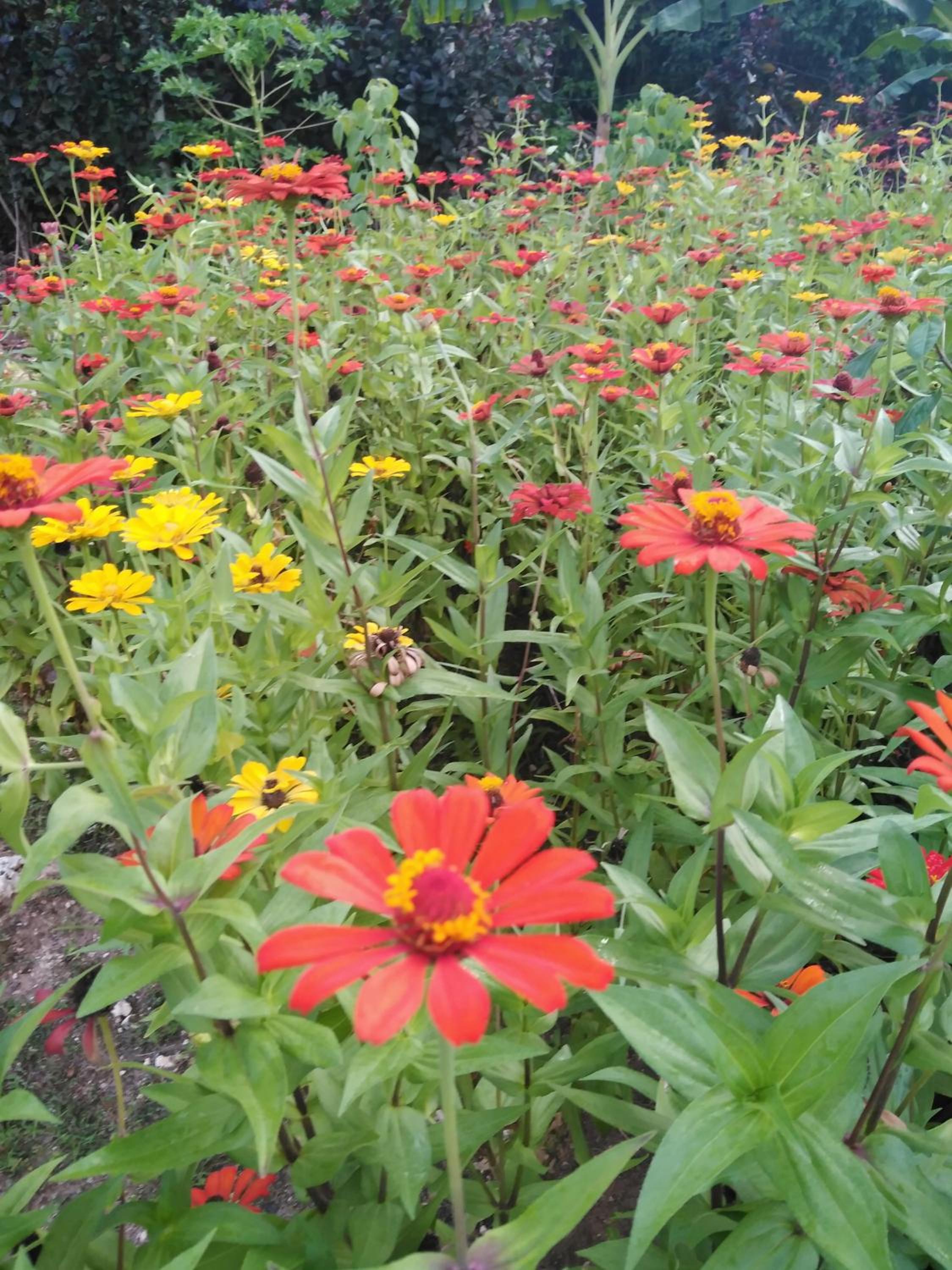 Photo 46