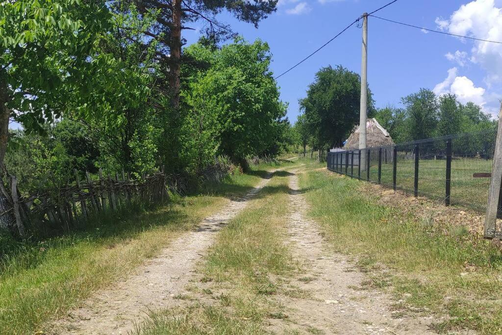 Šeherezada