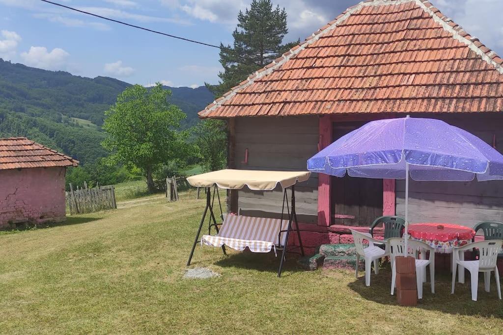 Šeherezada