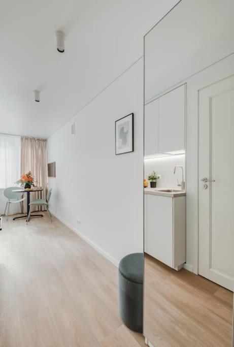 Apartment in Žvėrynas