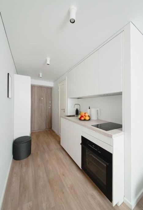 Apartment in Žvėrynas